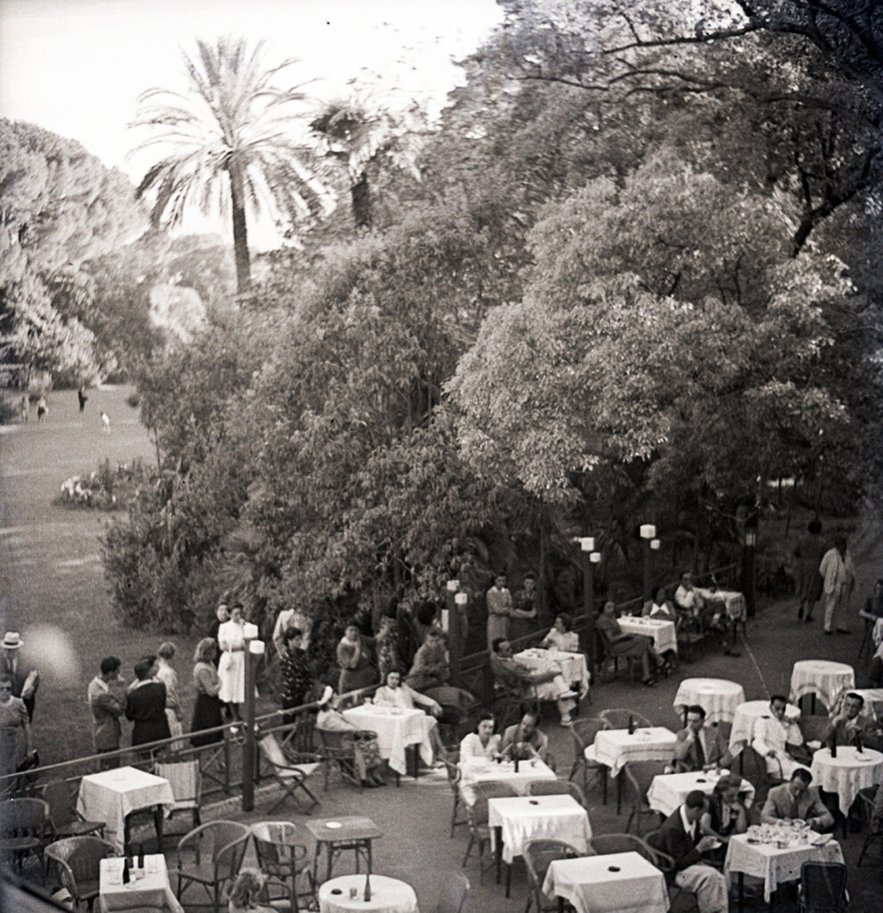c1233.jpg