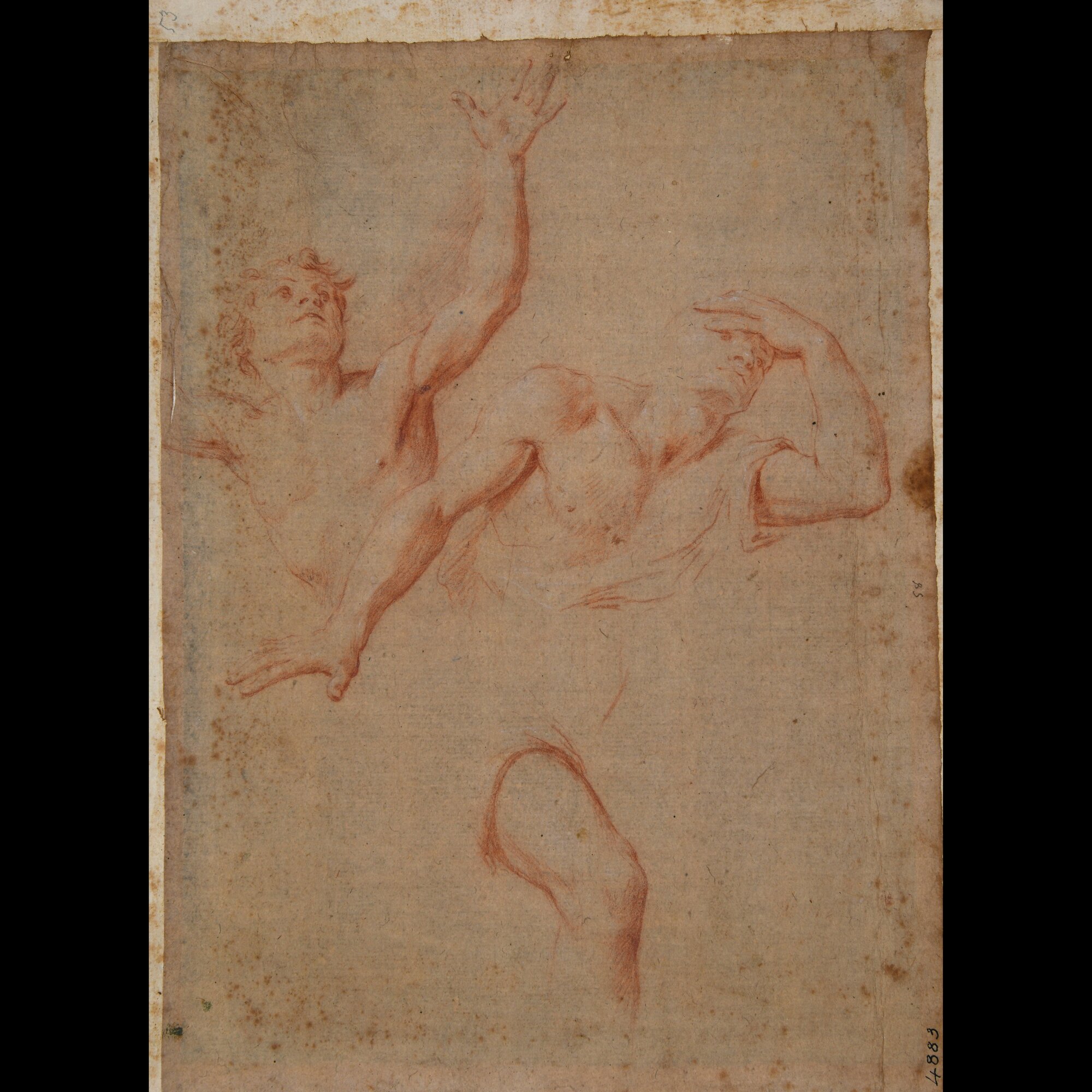 D4883_Franceschini M..tif