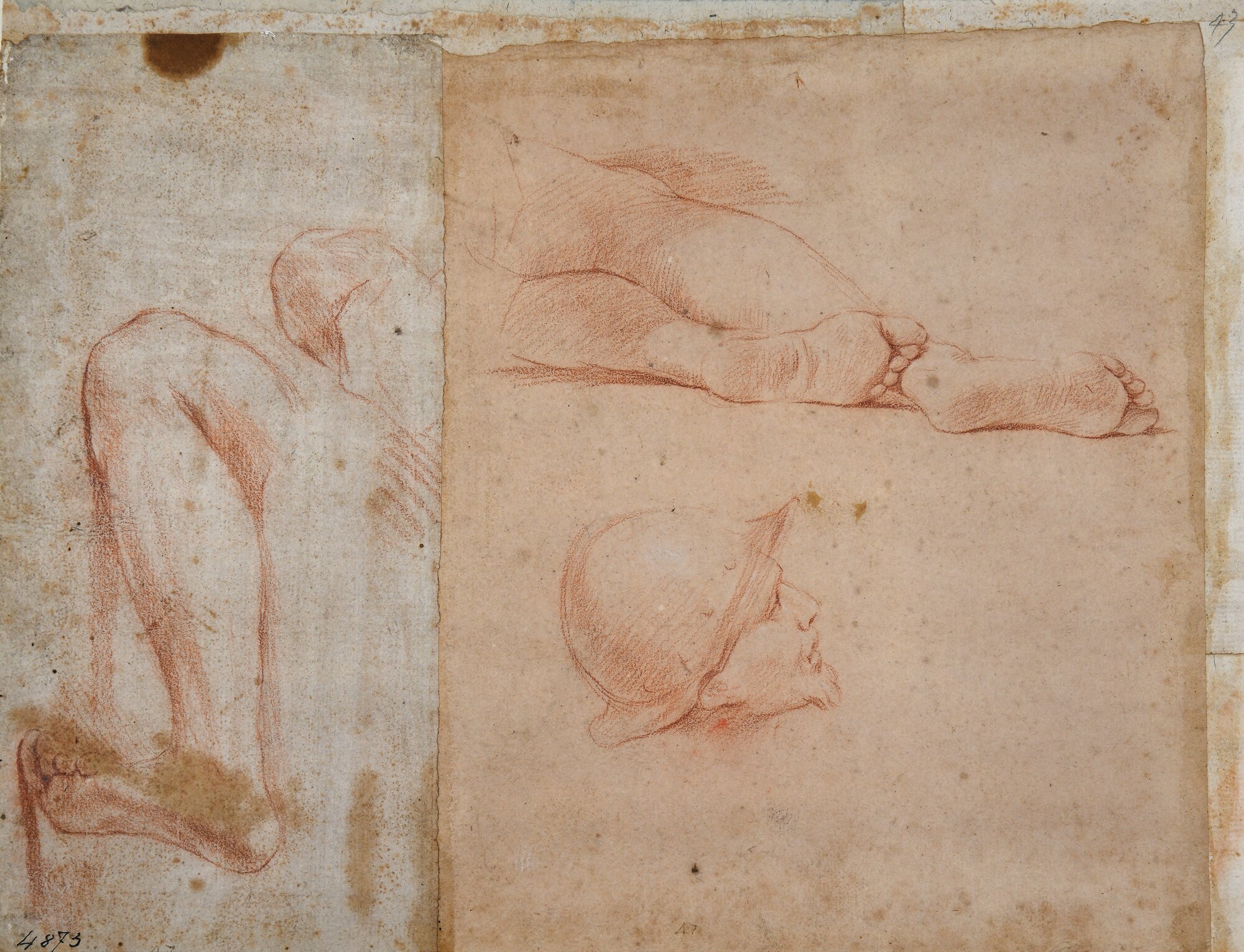 D4873_Franceschini M..tif