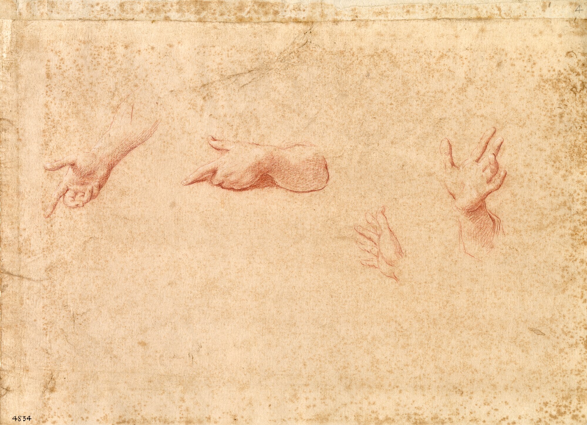 D4834_Franceschini M..tif