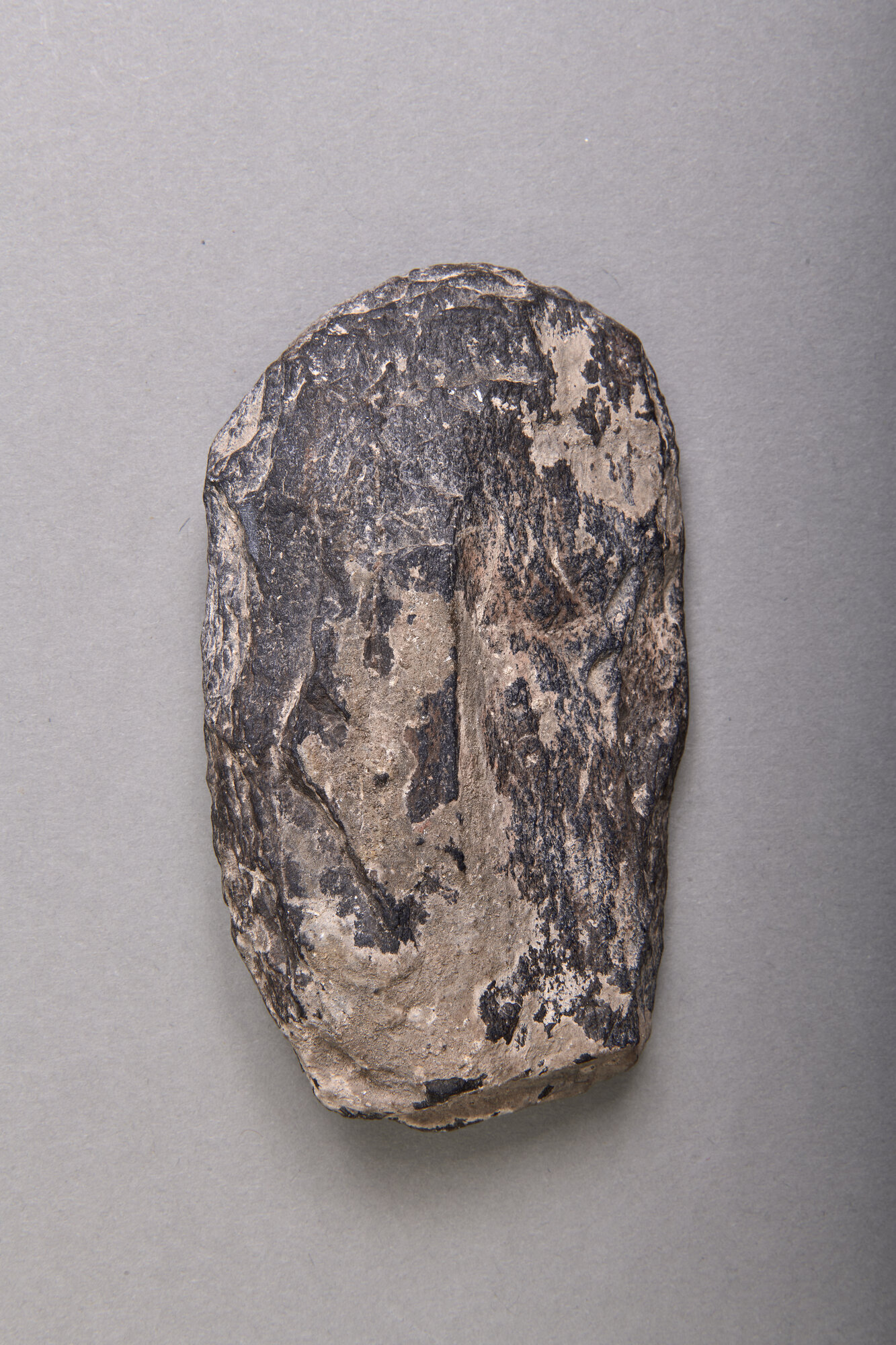 AR_T334 172_35909.jpg