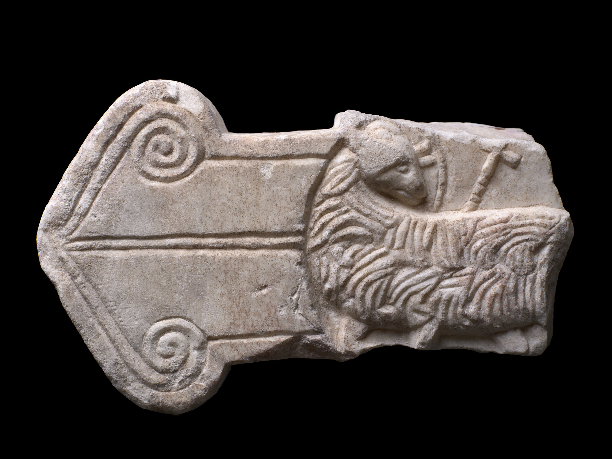 SA_MSA 2530_8234.jpg