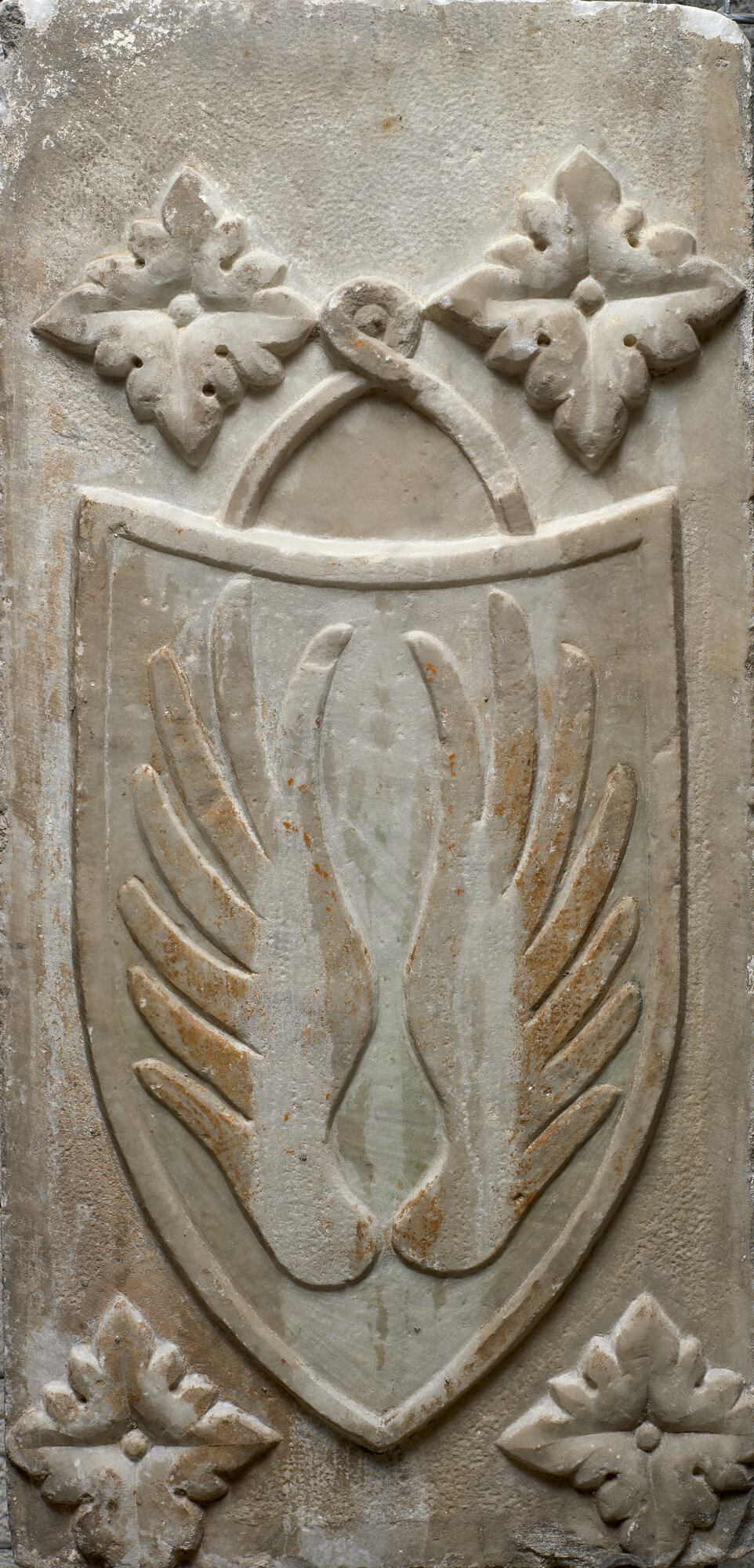 SA_MSA 2719_8191.jpg