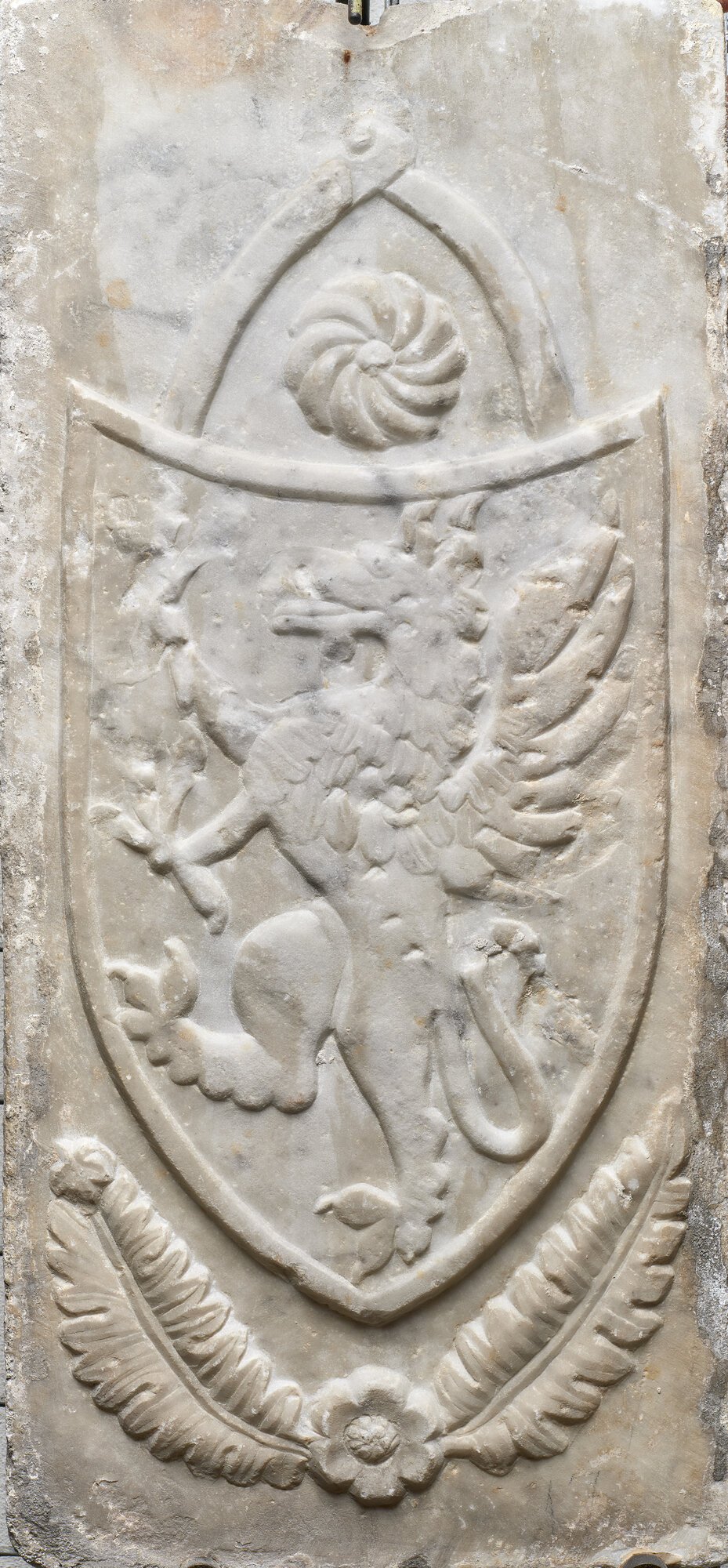 SA_MSA 2736_8190.jpg