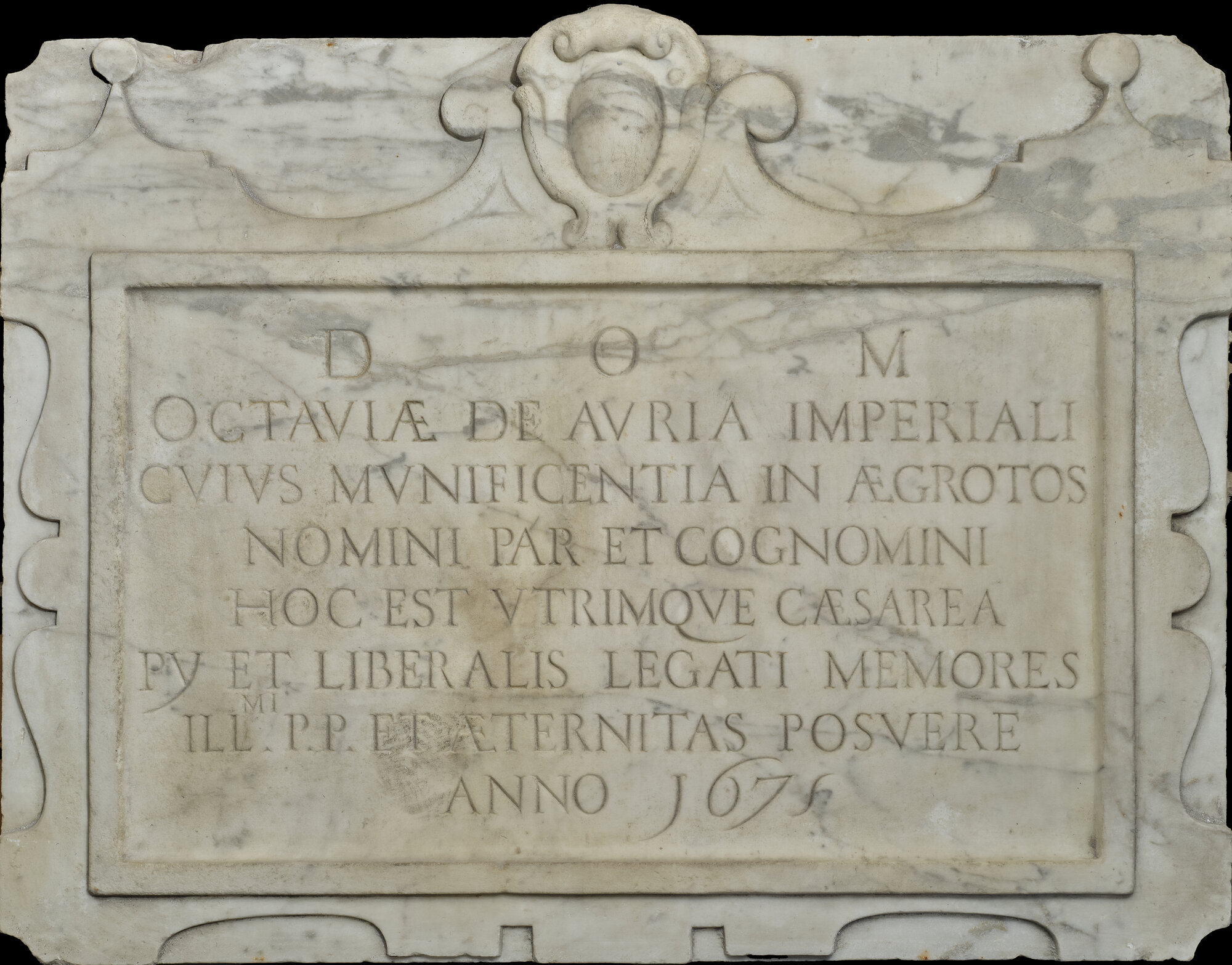 SA_MSA 2877_8048 3.jpg