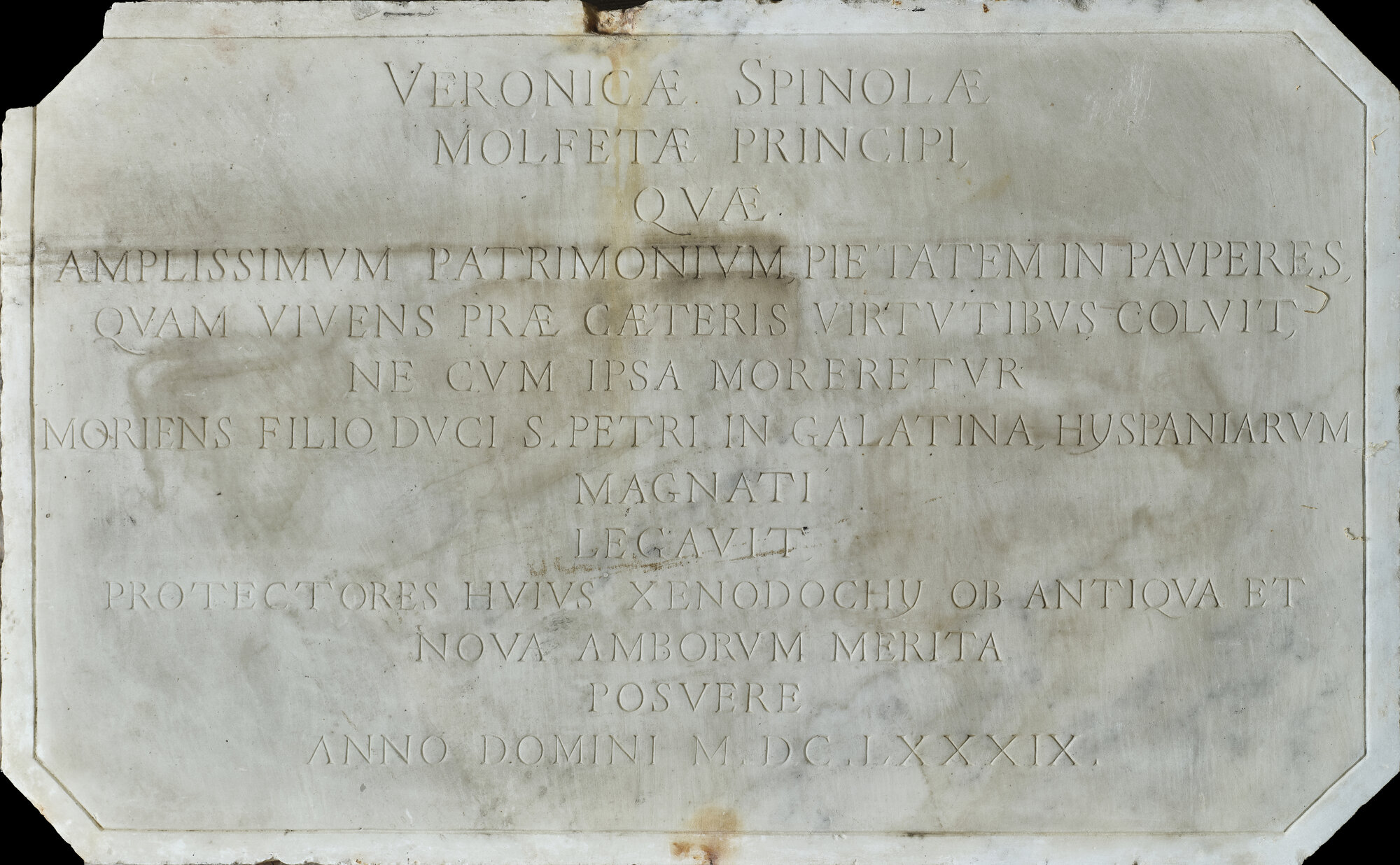 SA_MSA 2878_8069 3.jpg