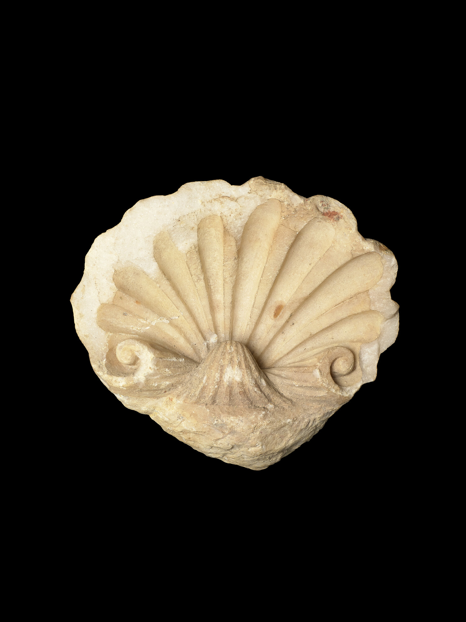 SA_MSA 3565_8119.jpg