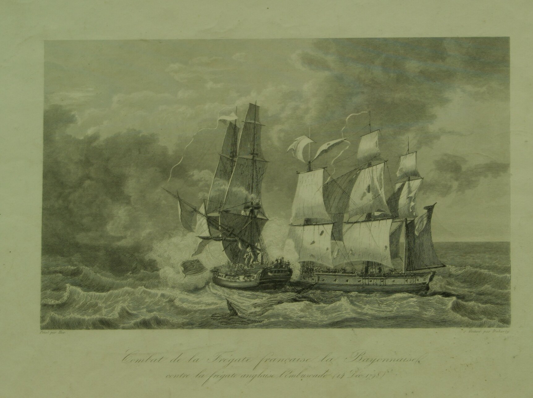 1774.JPG