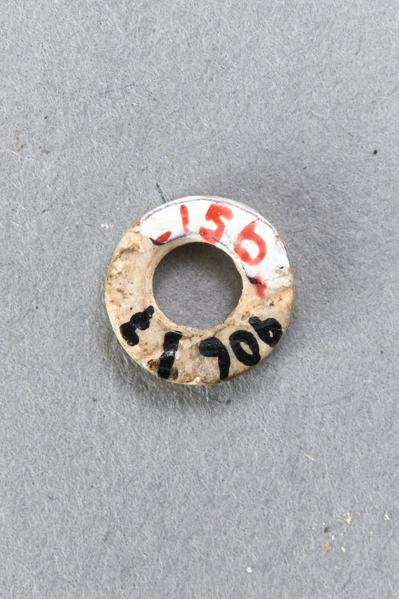 AR_906-7_26421.jpg