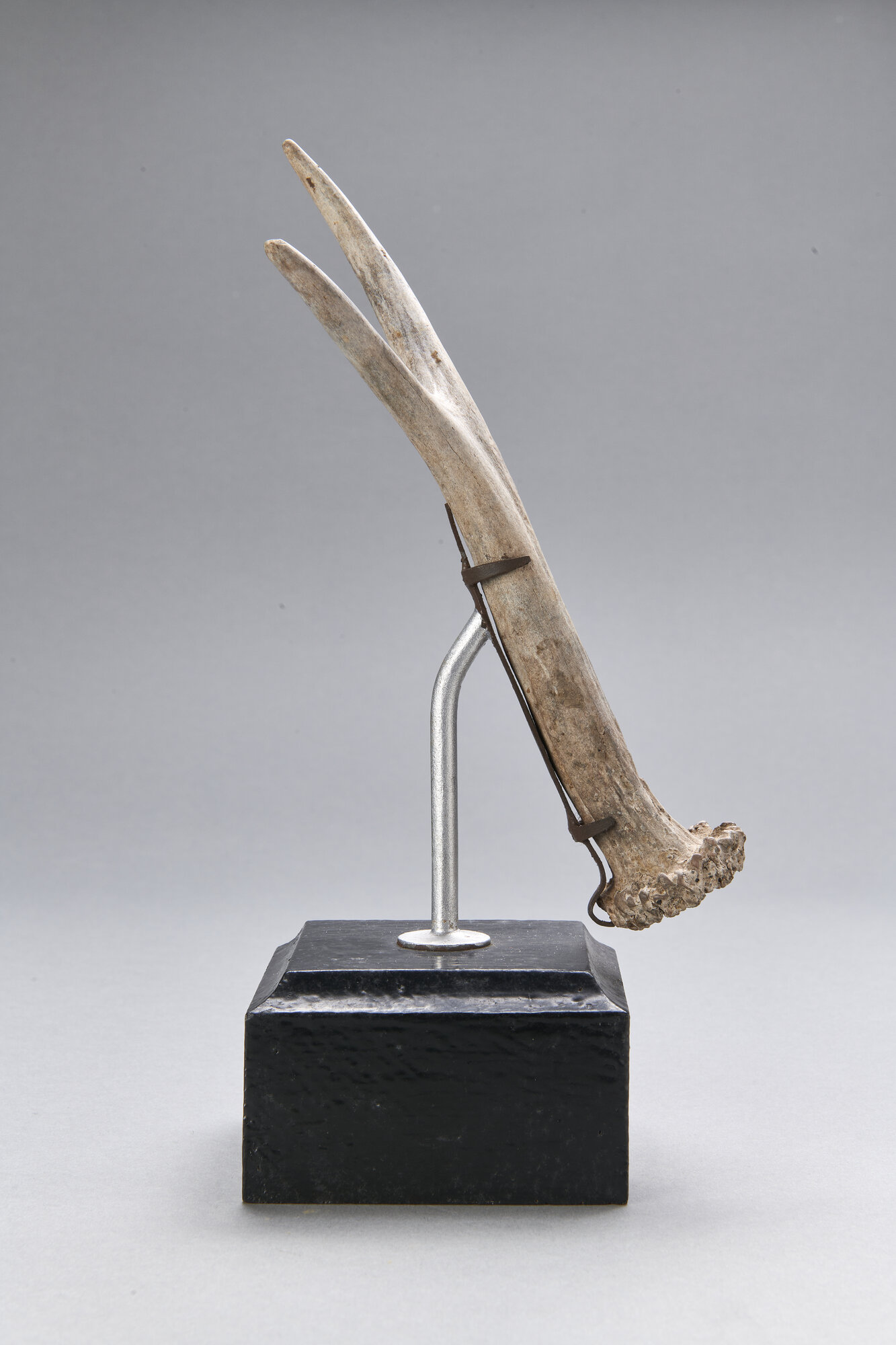 AR_1139_26270.jpg