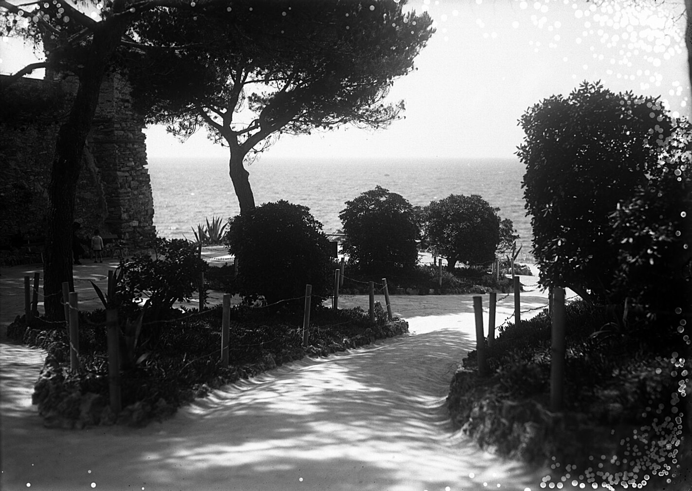 negativo n° 8886 Nervi. Giardini - 11 giugno 1928_2.jpg