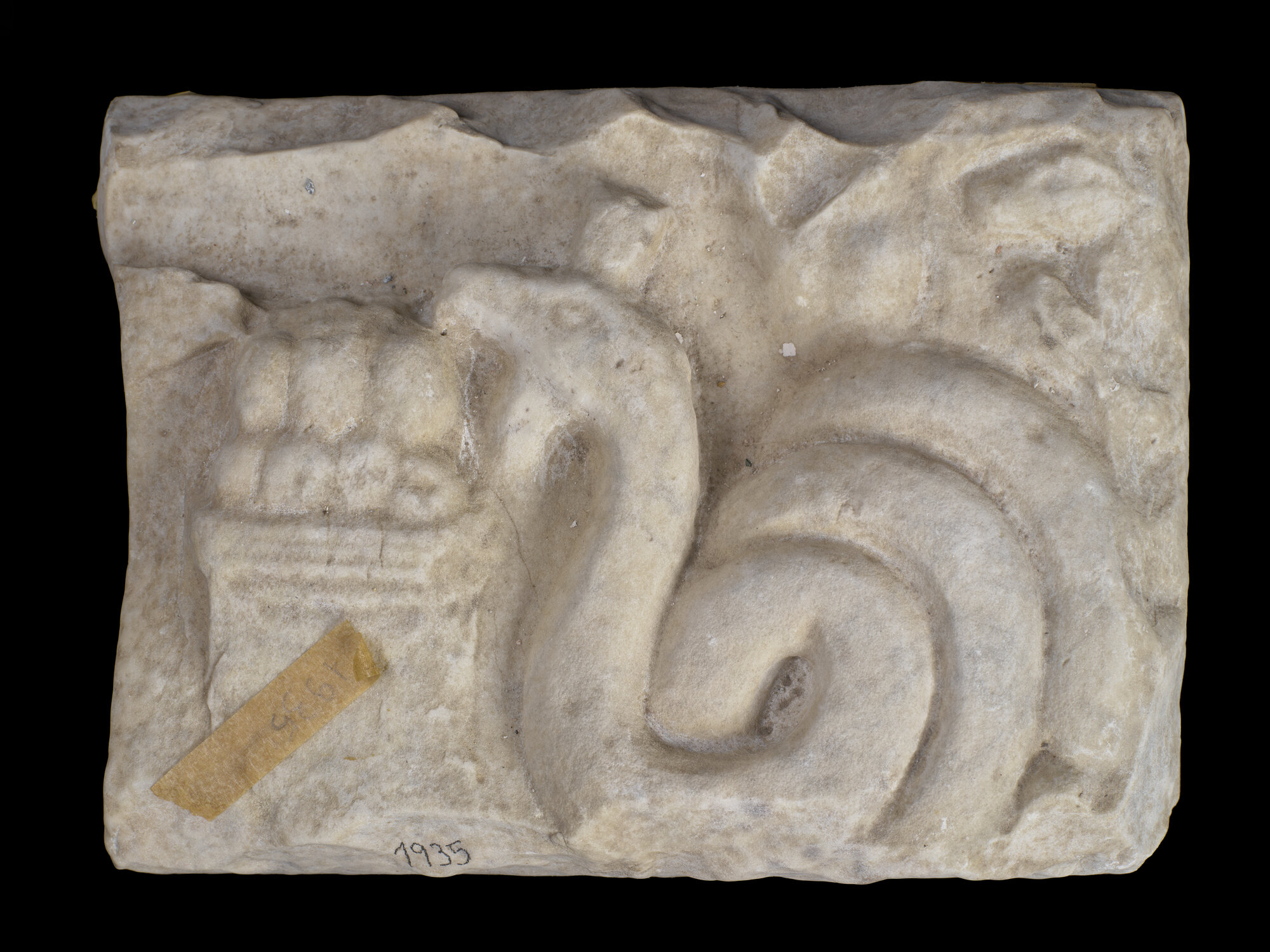 AR_1935_1690.jpg