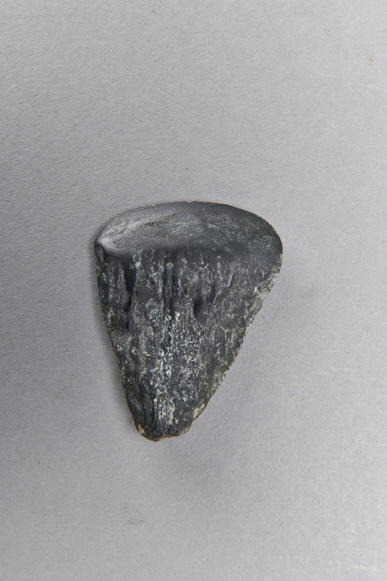 AR_585p.v_27214.jpg