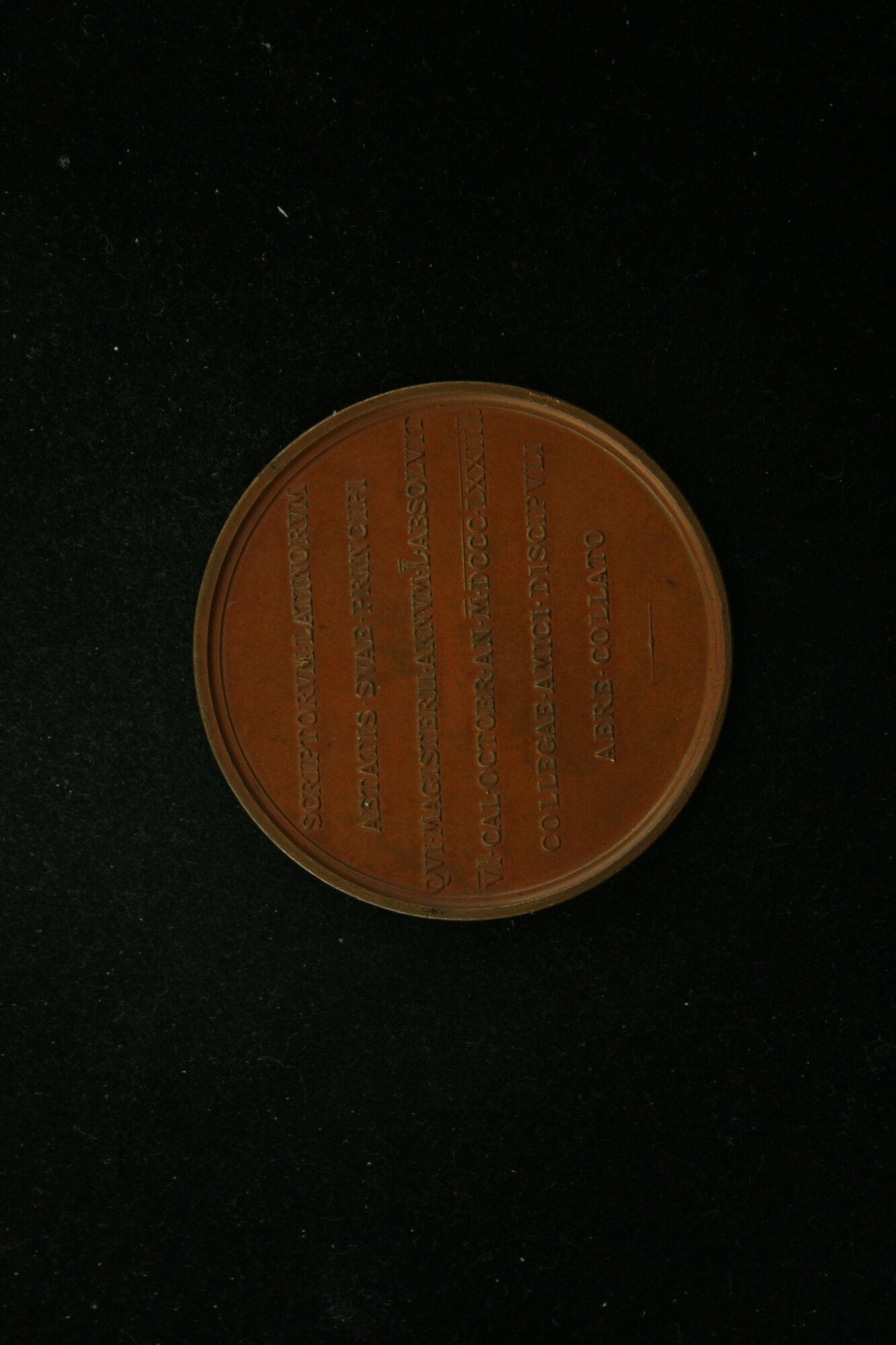 MED_00002_V.JPG