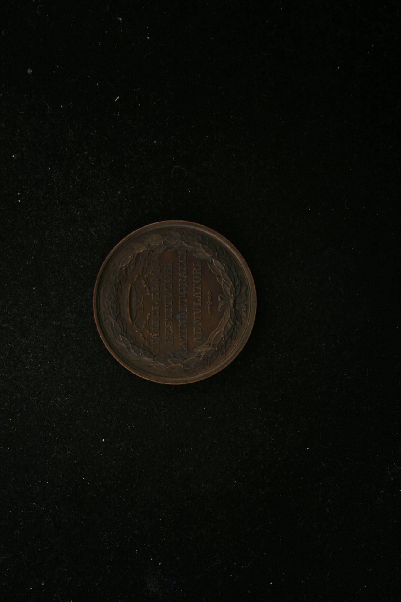 MED_00019_V.jpg