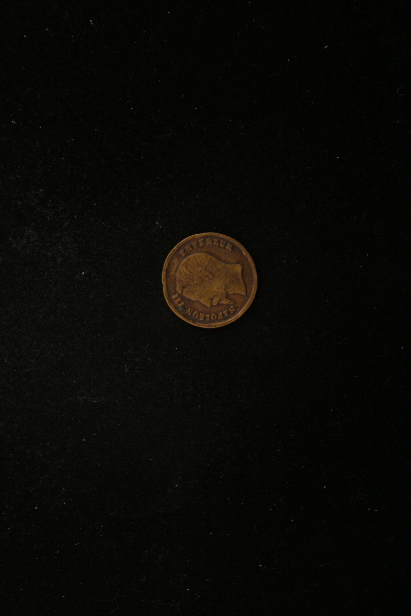 MED_00480_V.JPG
