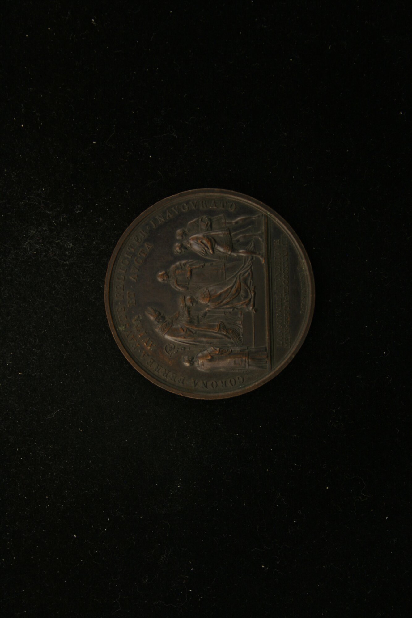 MED_00484_V.JPG