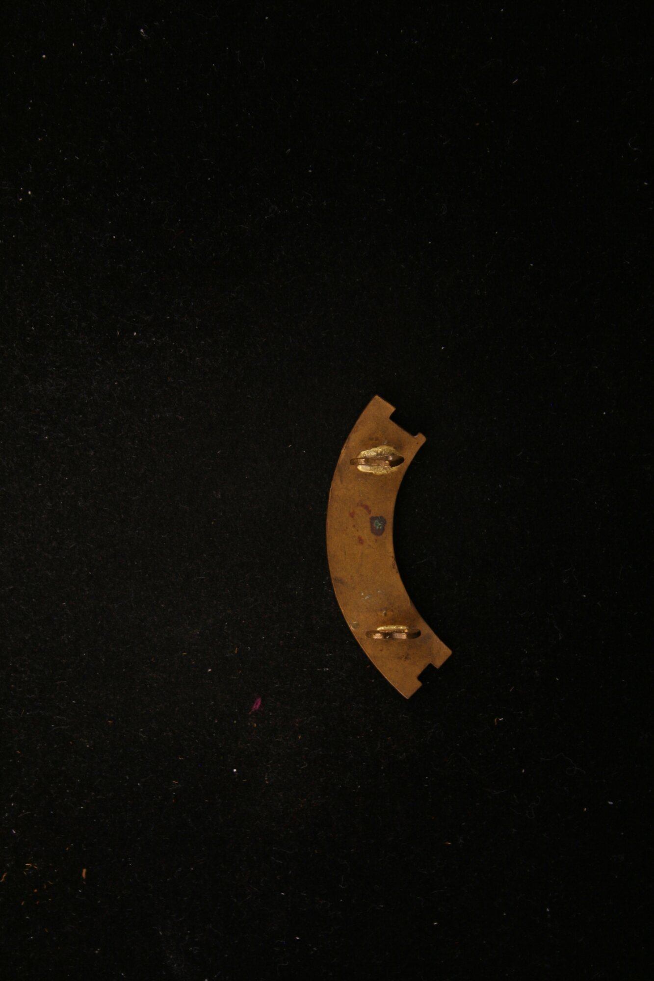 MED_00528_V.JPG