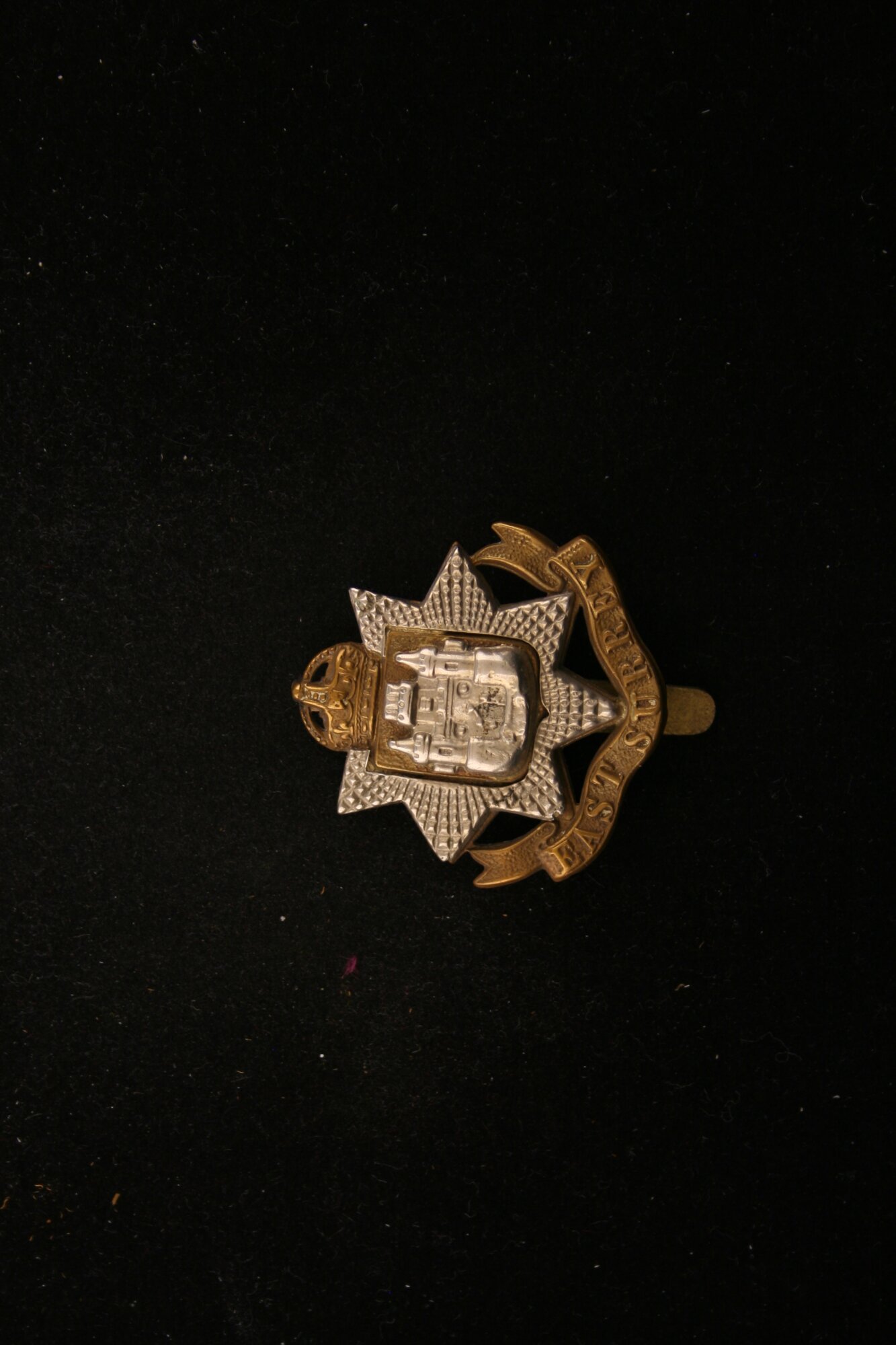 MED_00529_R.JPG