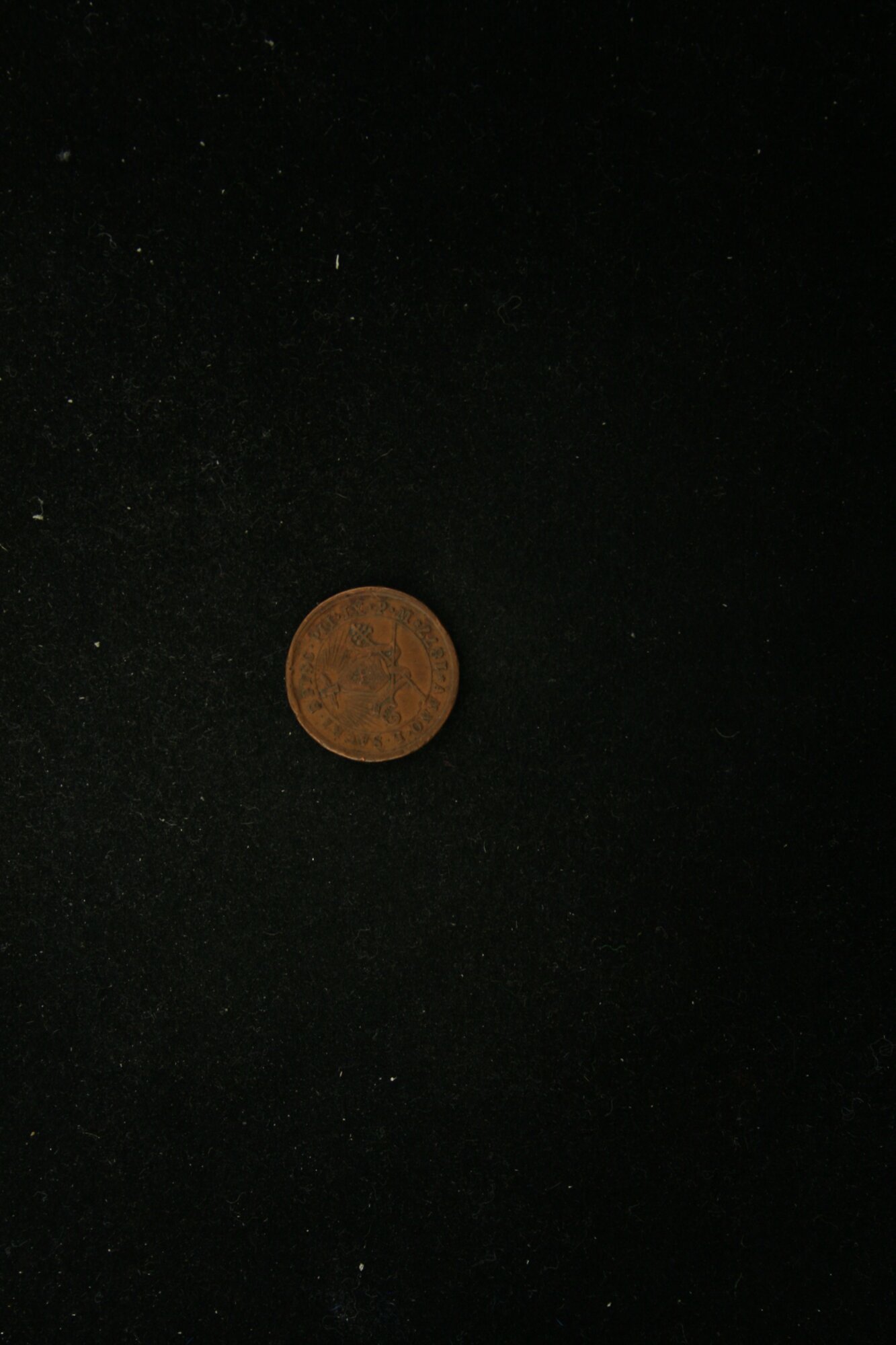 MED_00062_V.jpg
