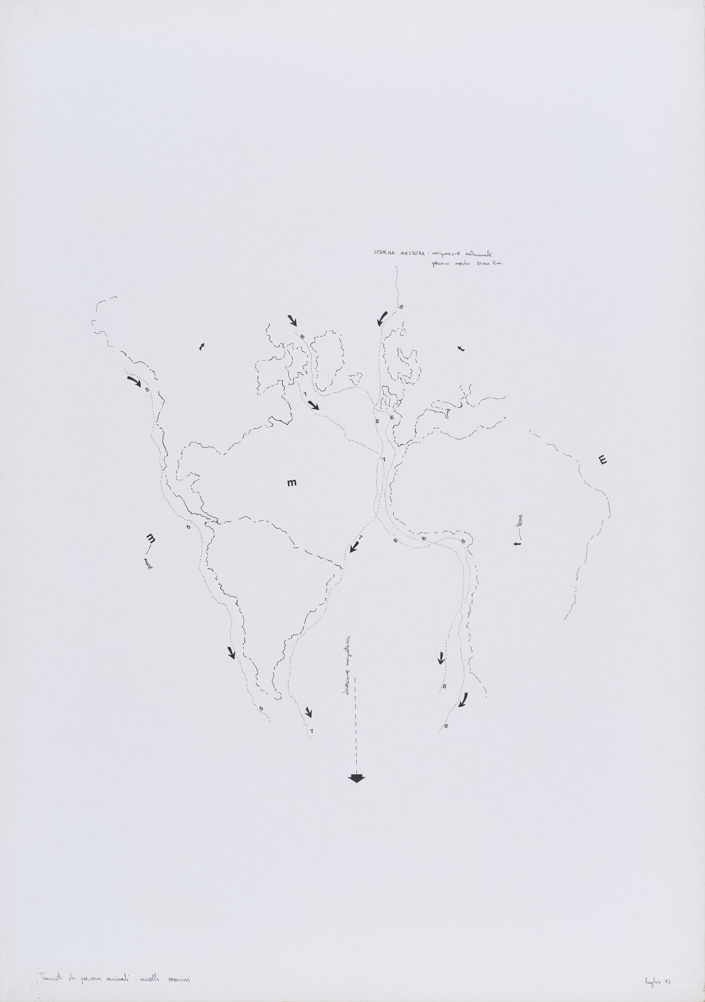 VC_ 1744 CARRETTA_0824.jpg