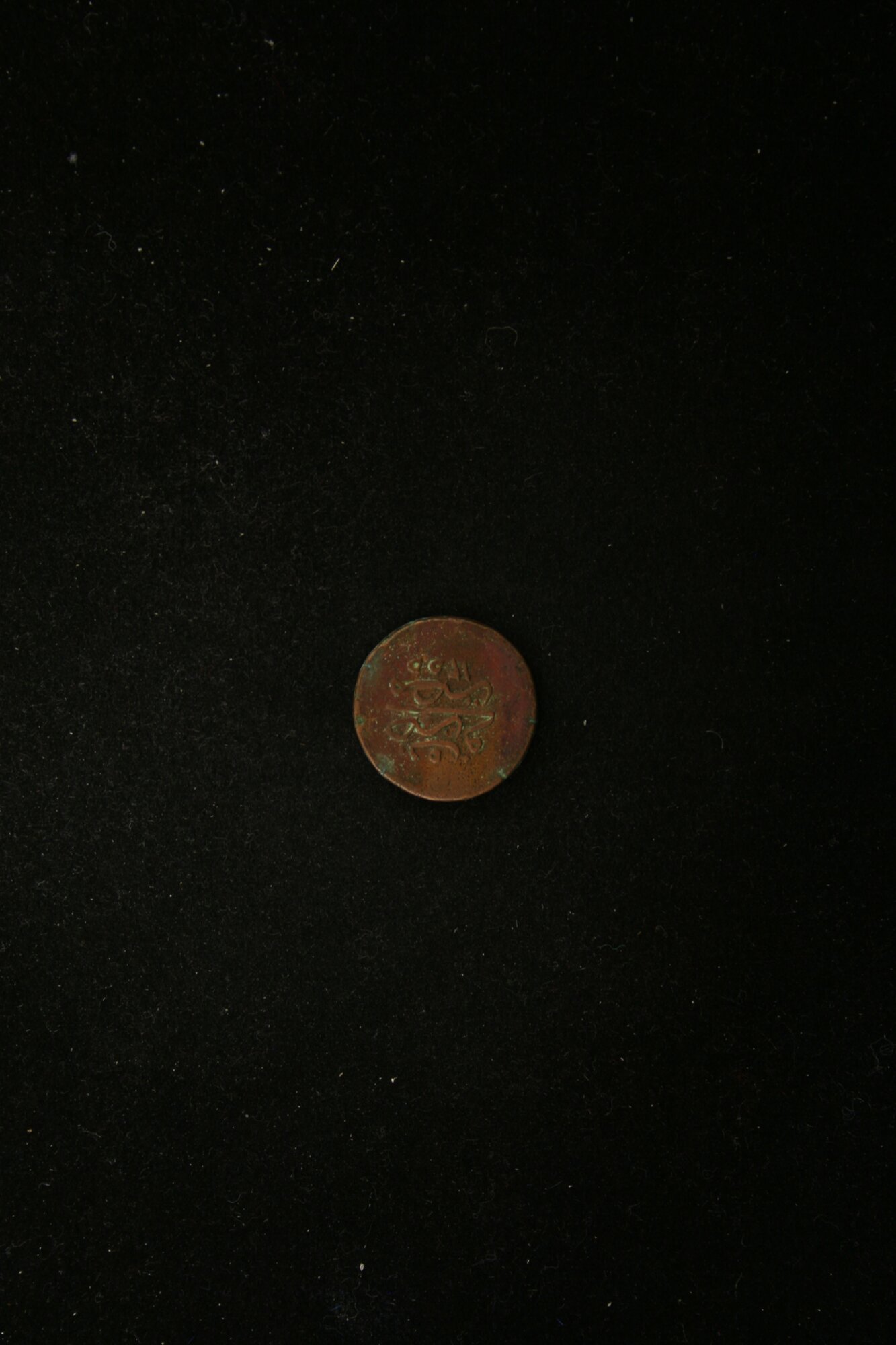 MED_00079_V.jpg