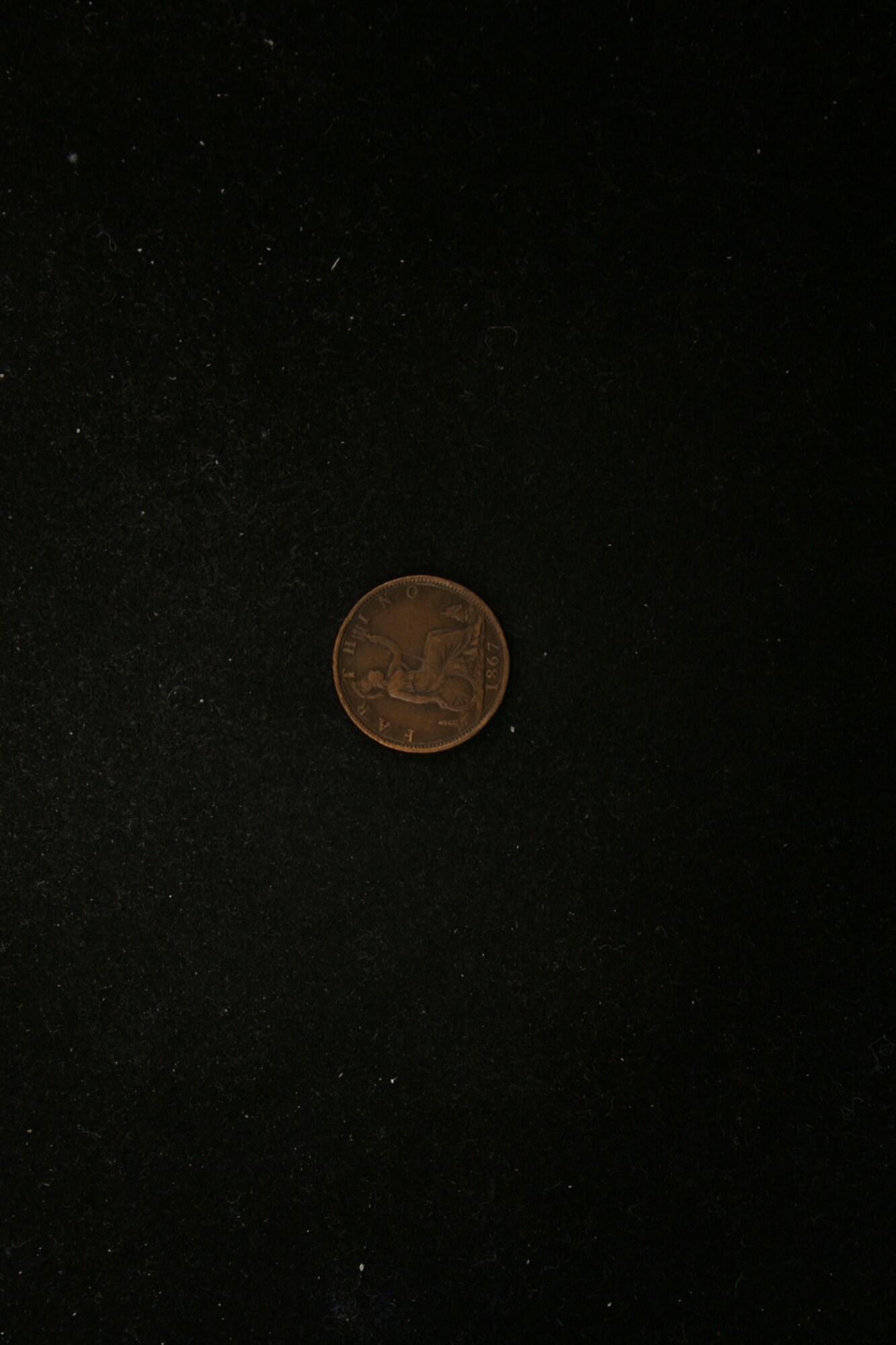MED_00080_V.jpg