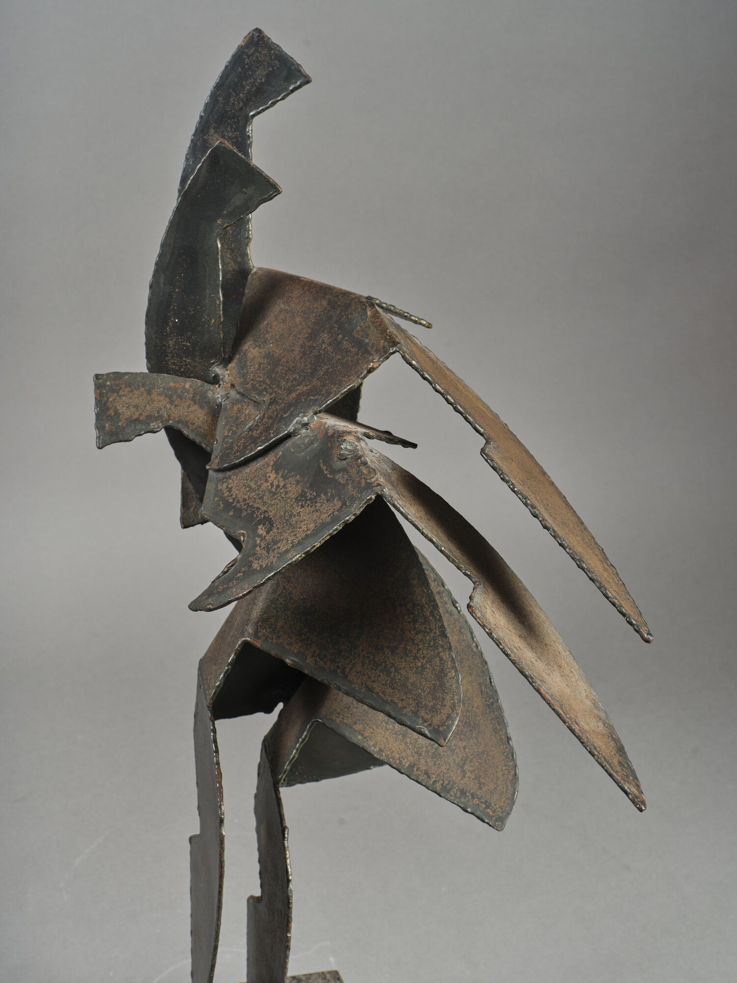 VC_0588 BOZZOLA_2469.jpg