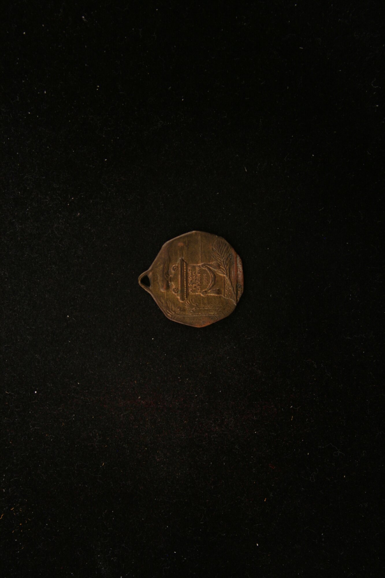 MED_00553_R.JPG