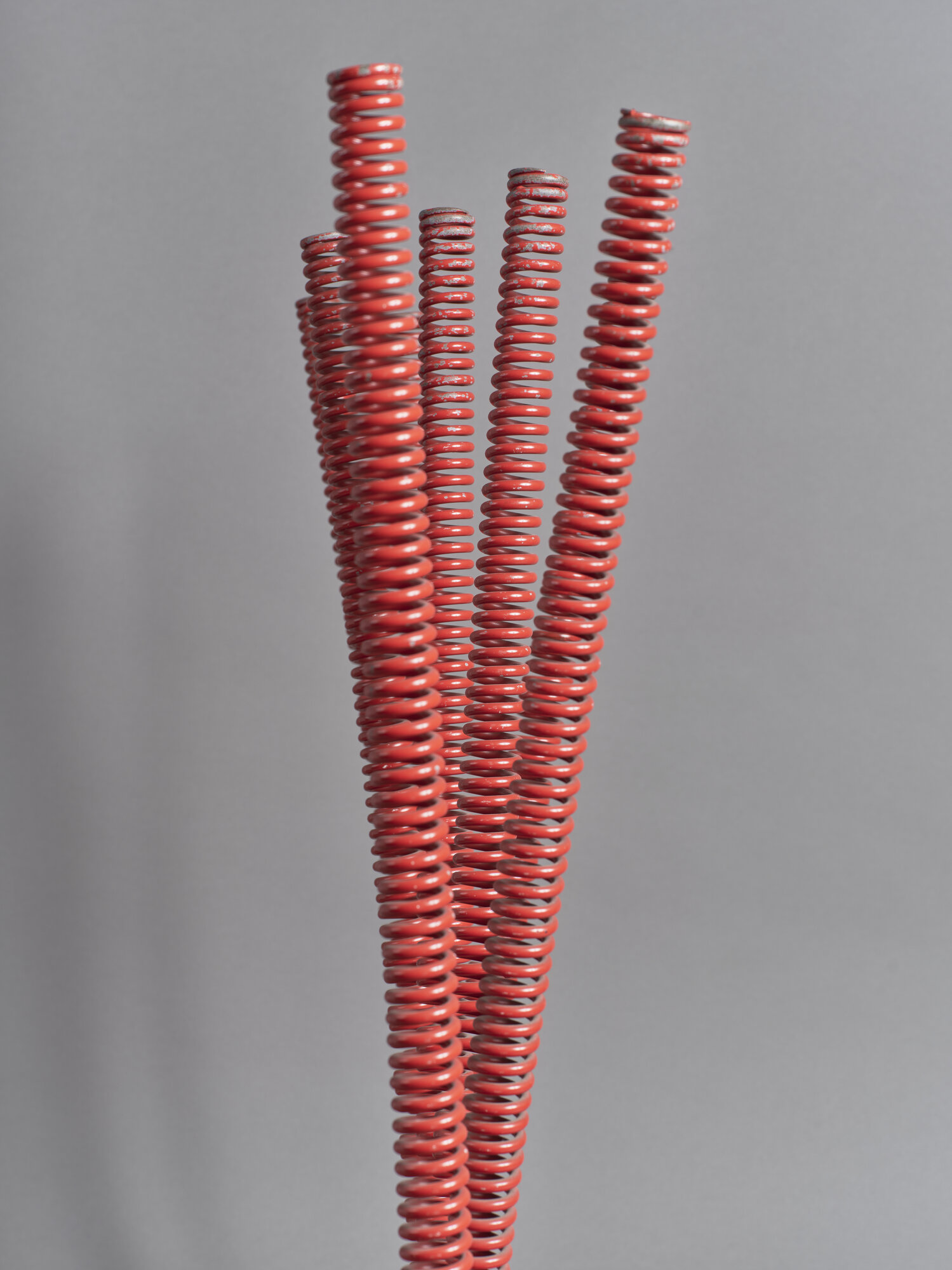 VC_0700 MARROCCO_2406.jpg