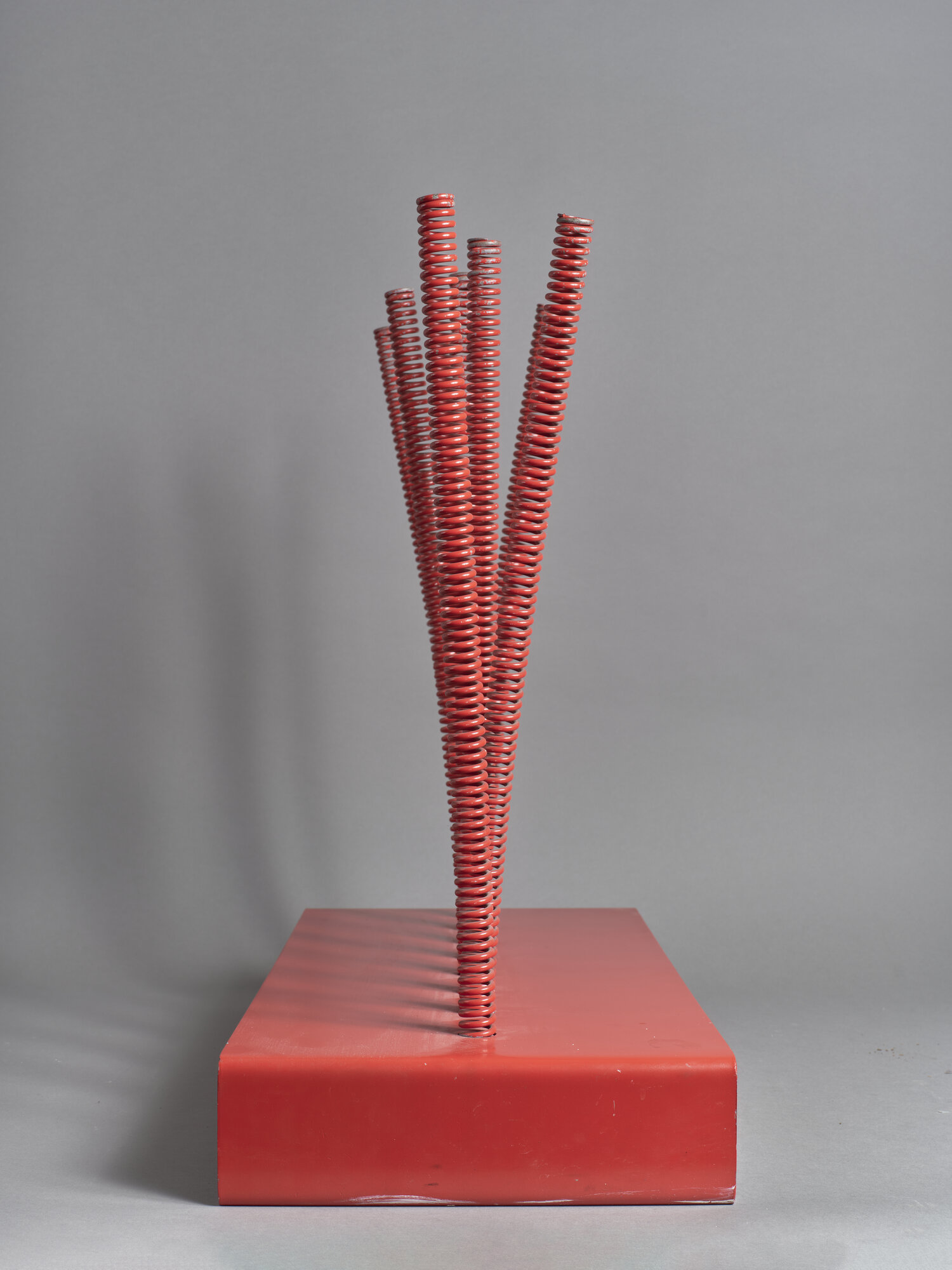 VC_0700 MARROCCO_2404.jpg