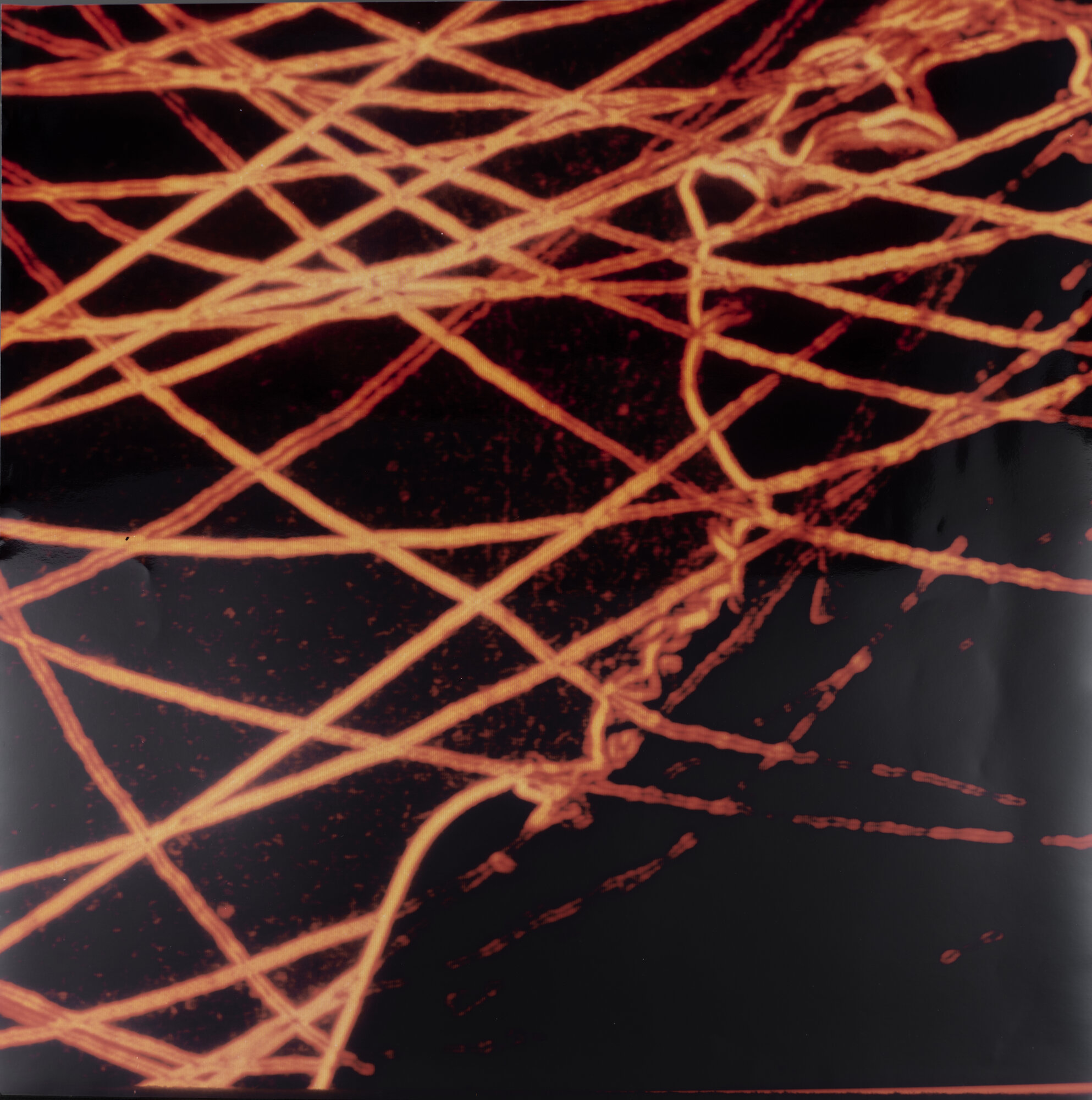 VC_1479 OBERTO_1236.jpg