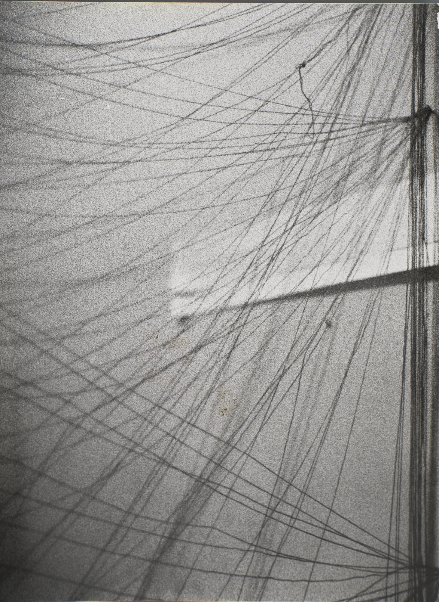 VC_1478-04 OBERTO_1228.jpg