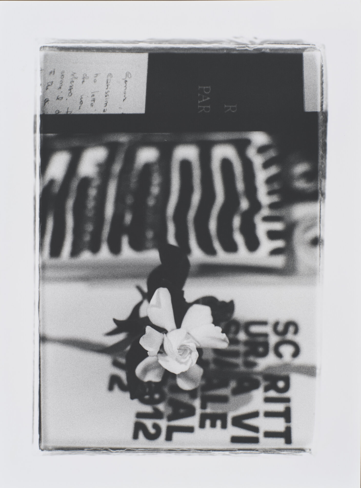 VC_1486-09 OBERTO_1201.jpg