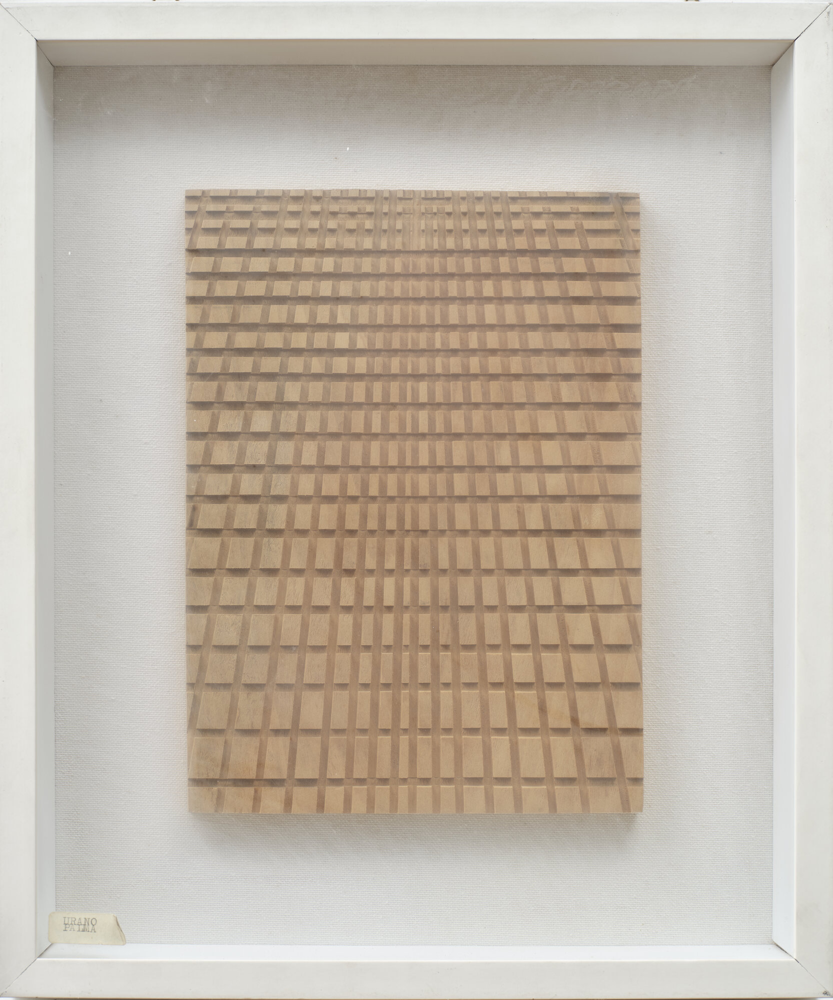 VC_725 PALMA_0231.jpg