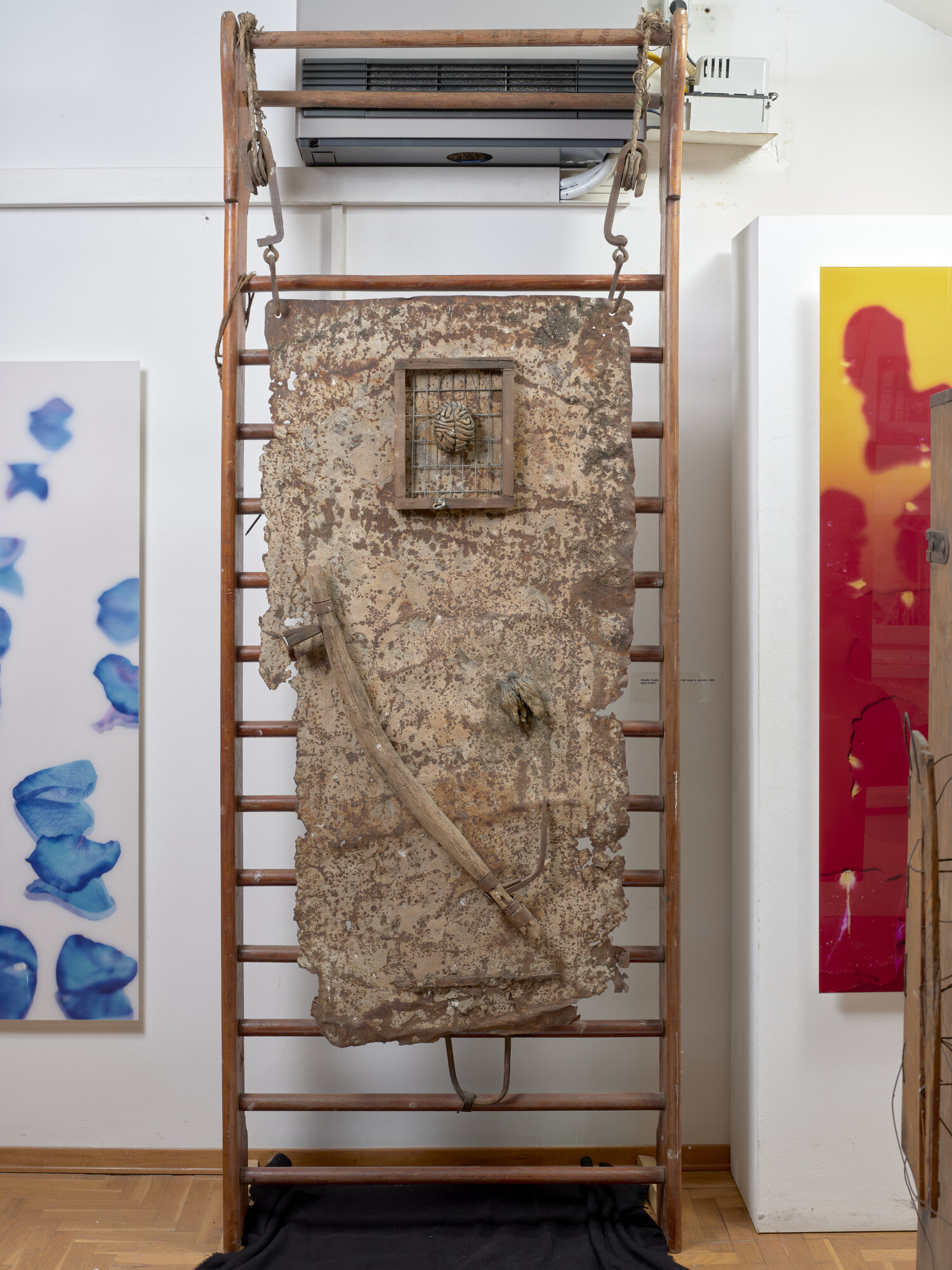 VC_3162 COSTA_2920.jpg