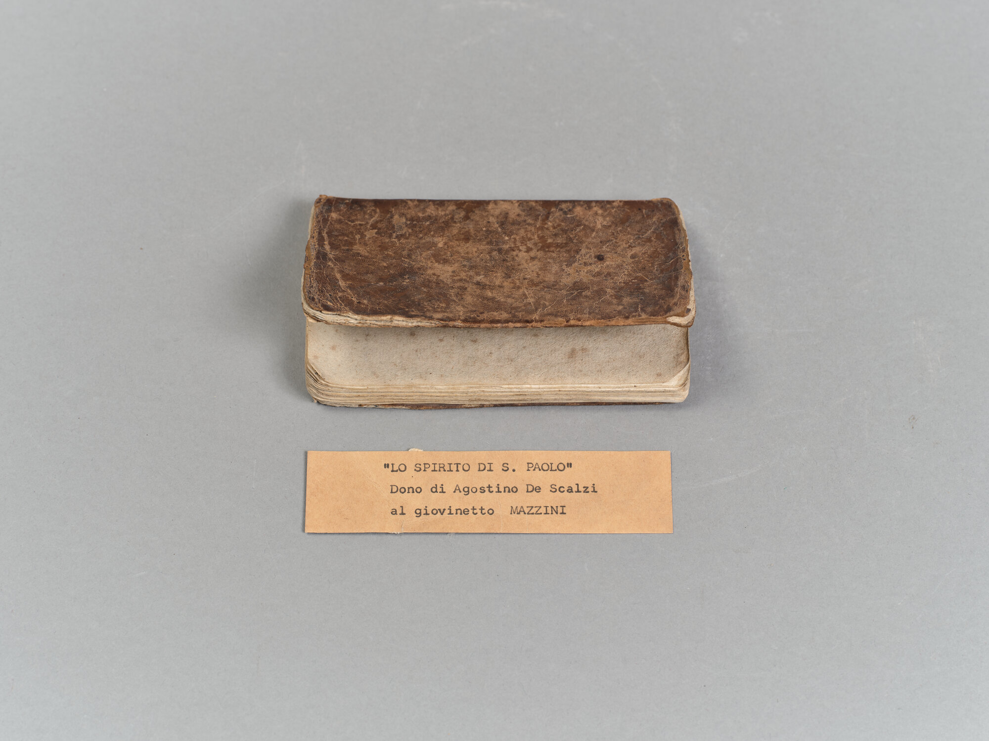 MA_C 152_0821.jpg