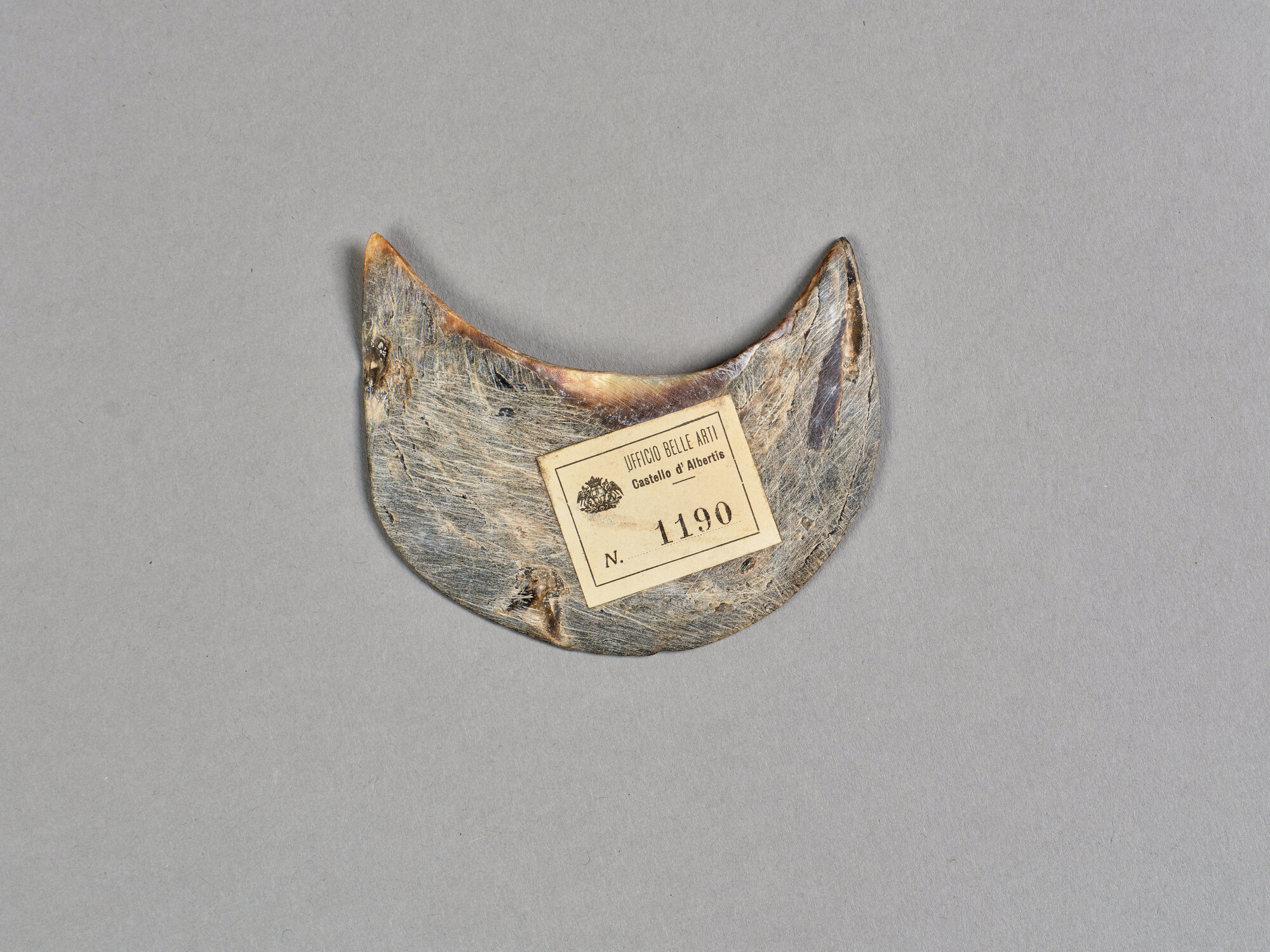 AL_CDA 1190_0500.jpg