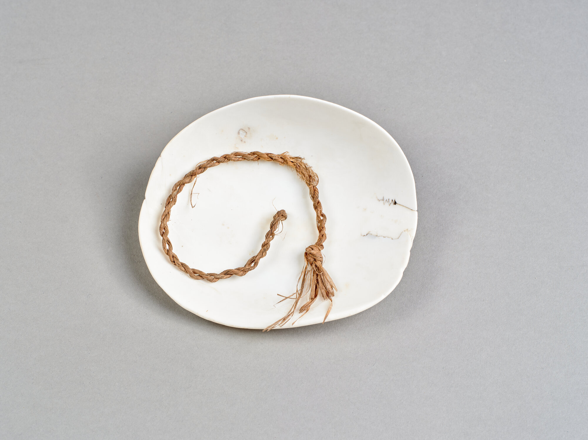 AL_CDA 1194_0558.jpg