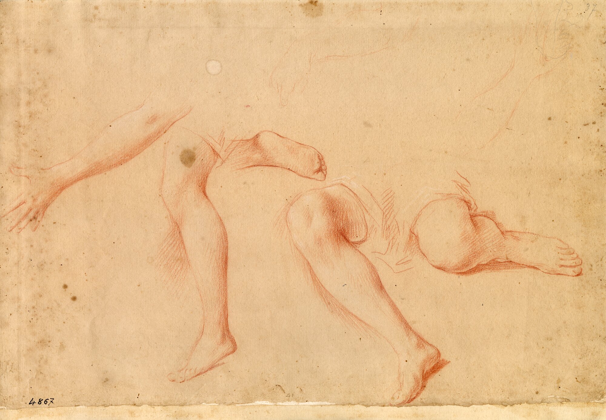 D4867_Franceschini M..tif