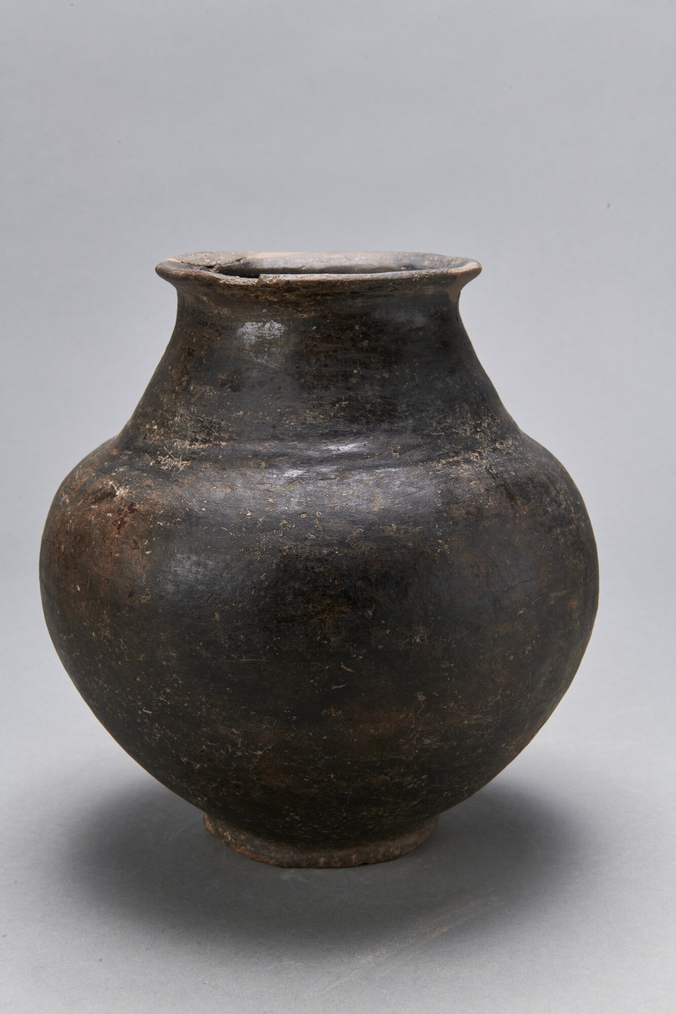 AR_570 SAV_26949.jpg