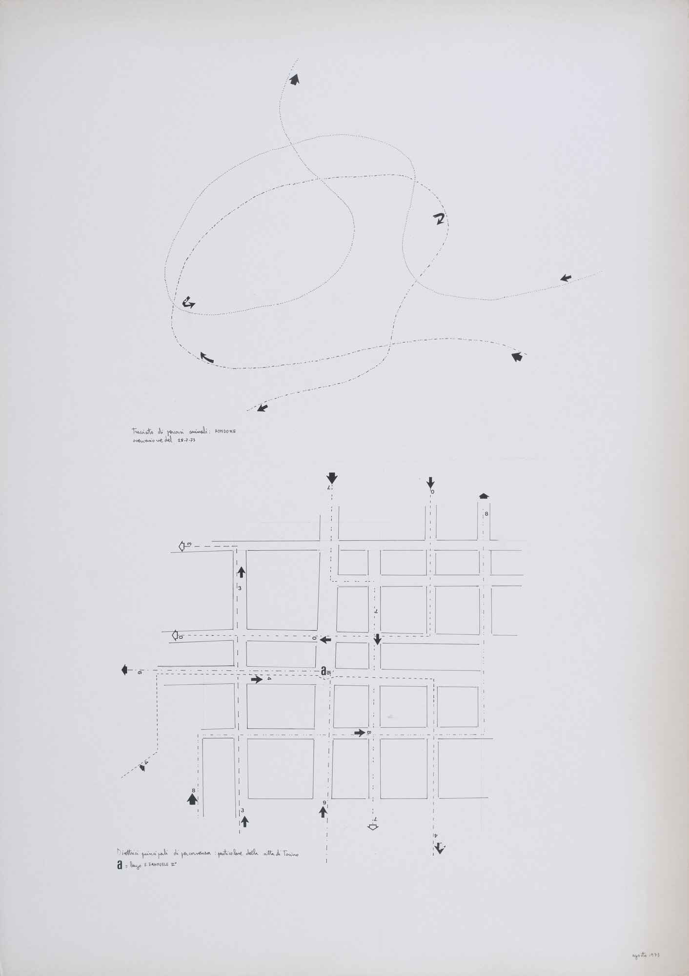 VC_1748 CARRETTA_0817.jpg