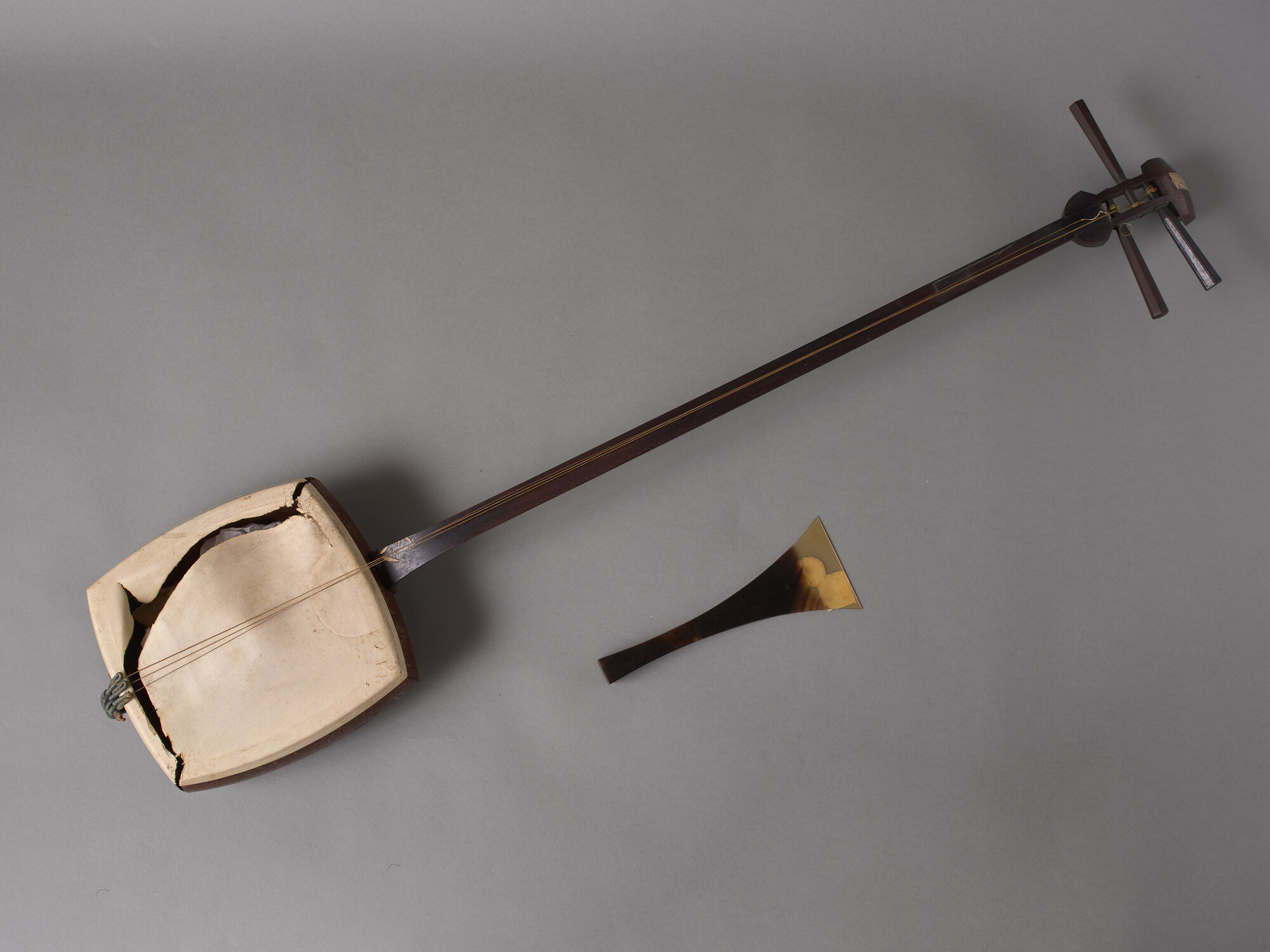 CH_SM 02_SHAMISEN CON GALLI_0305.jpg