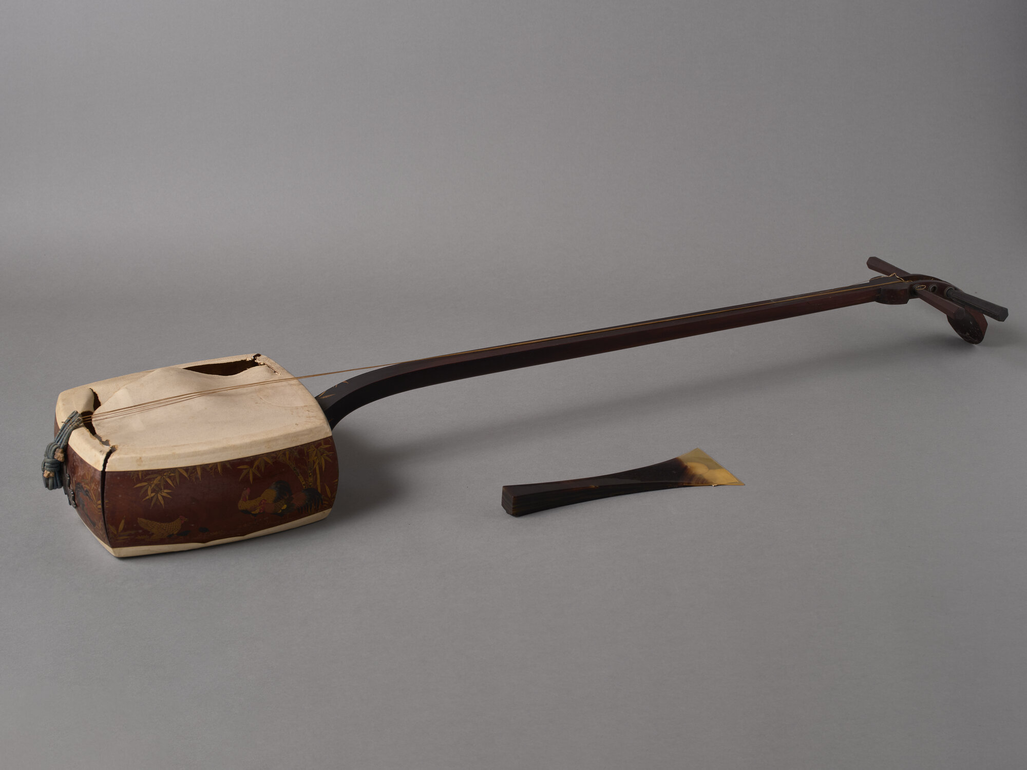 CH_SM 02_SHAMISEN CON GALLI_0308.jpg