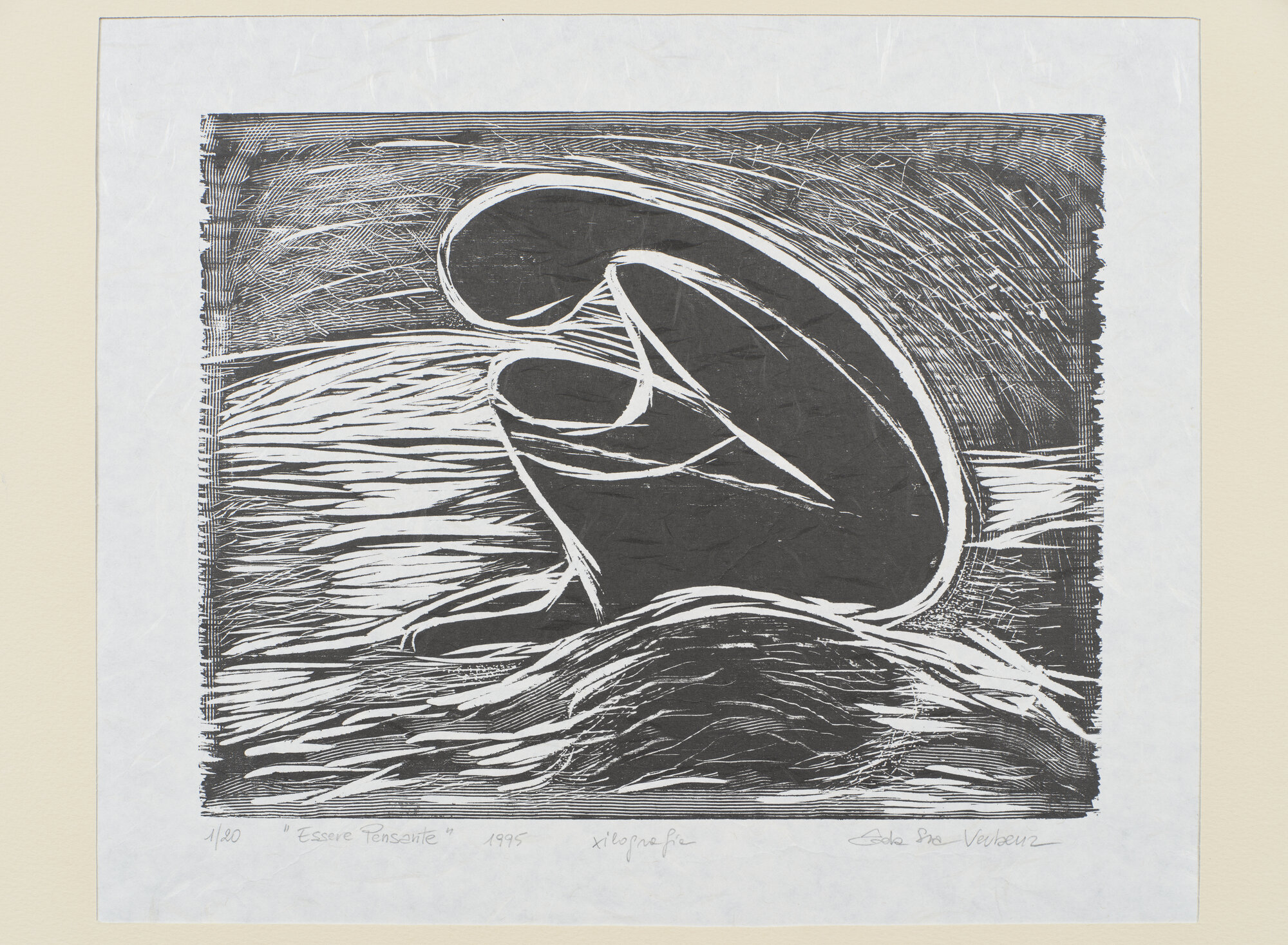 VC_2060 VERBENA_1573.jpg