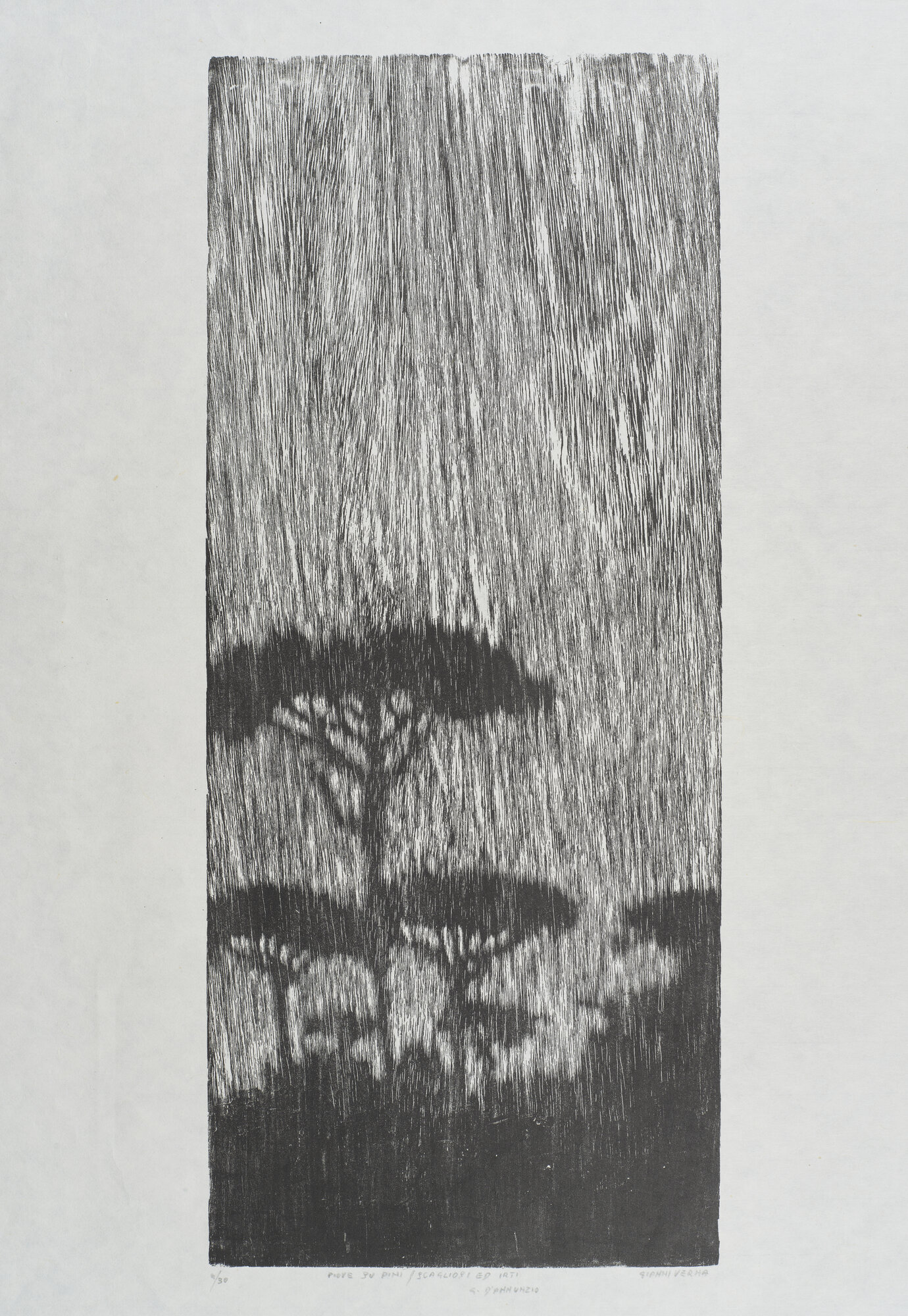 VC_2063 VERNA_1511.jpg