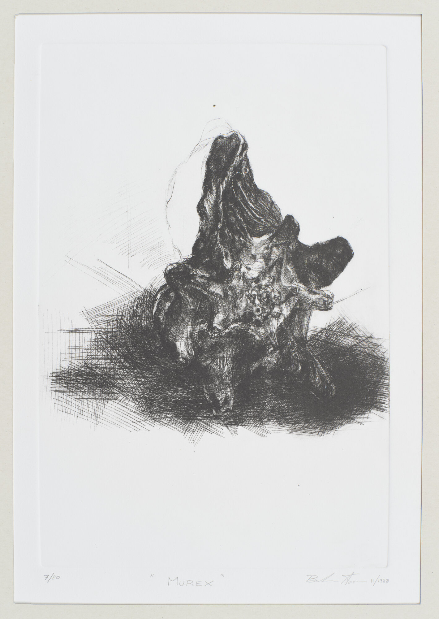 VC_2234 VACCARI_1563.jpg