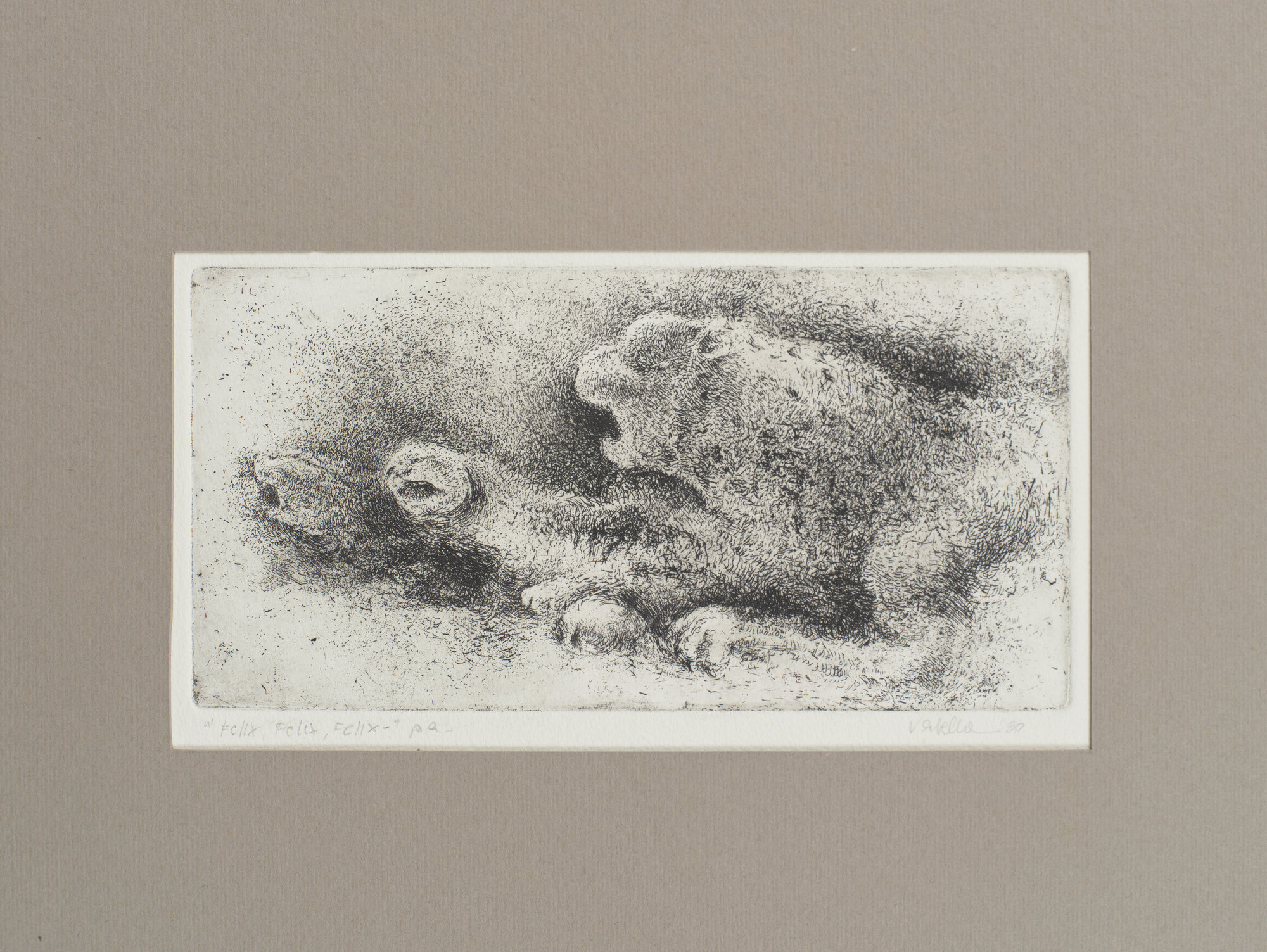 VC_2238 VARBELLA_1533.jpg