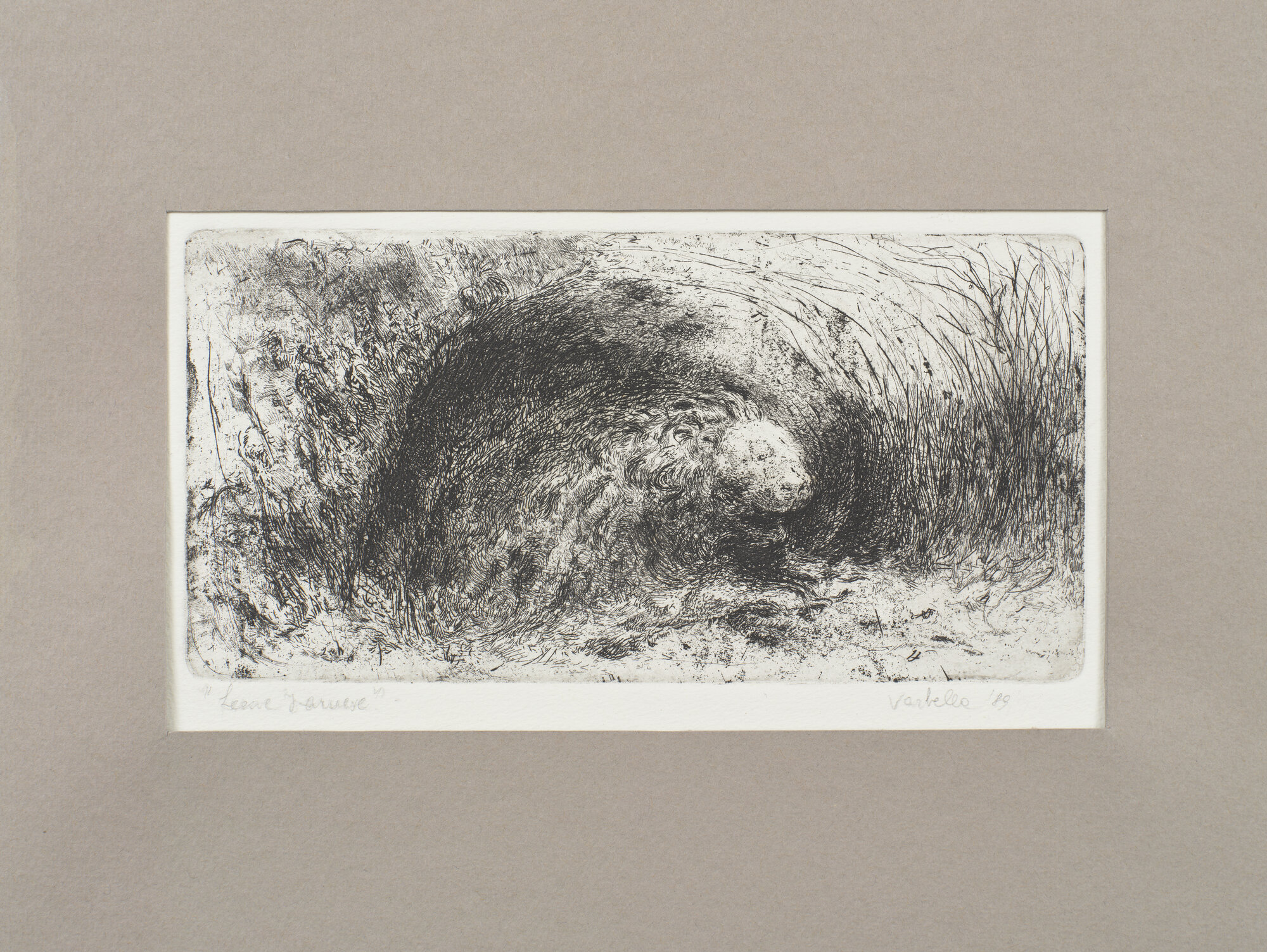 VC_2237 VARBELLA_1534.jpg