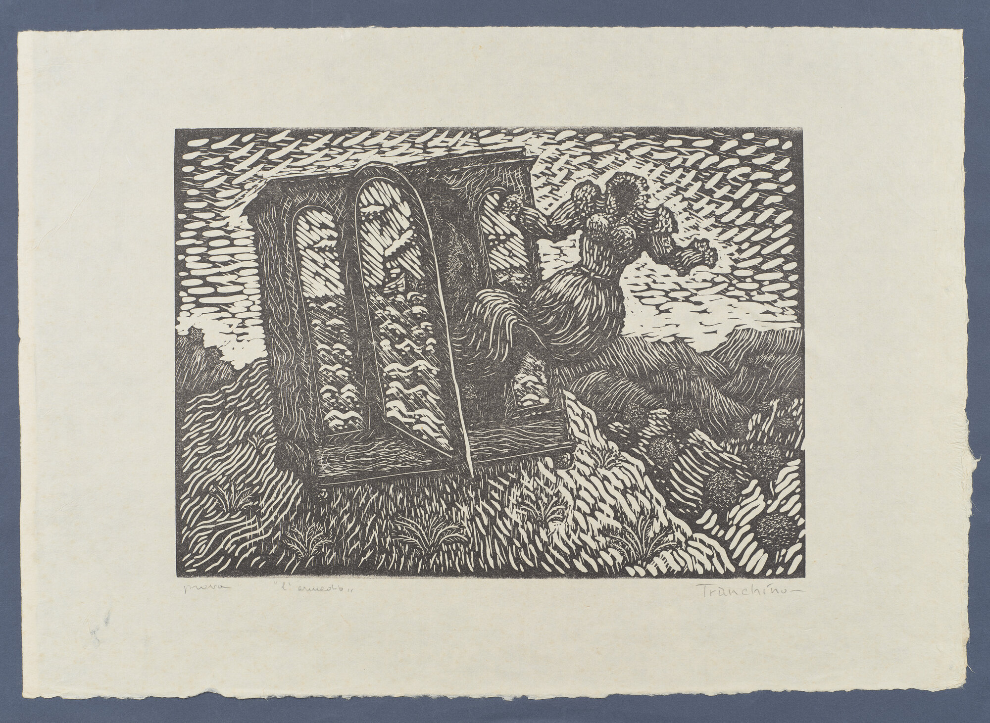 VC_2058 TRANCHINO_1557.jpg